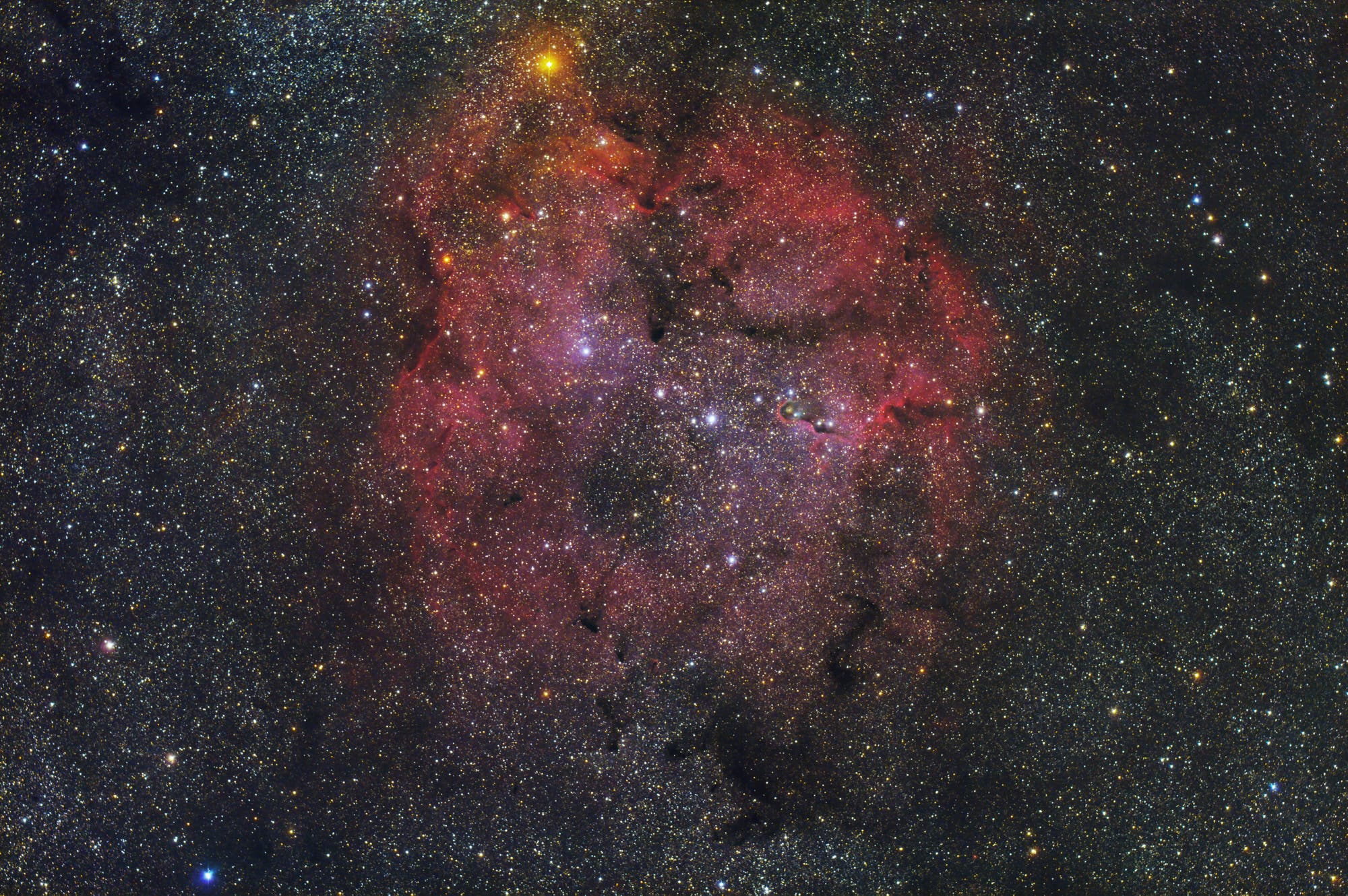 IC 1396 im Widefield