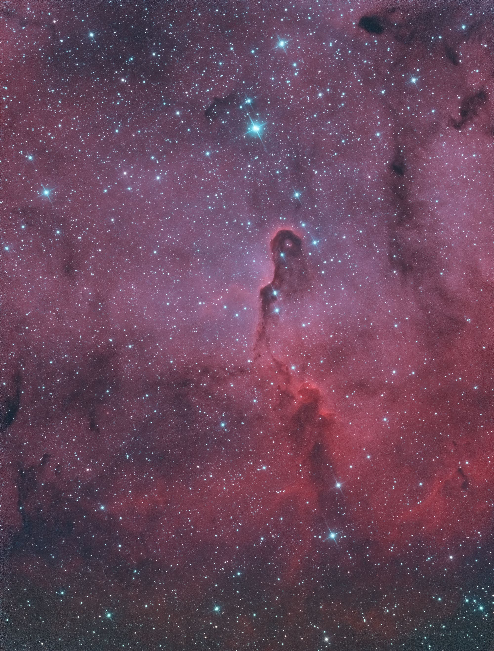 IC 1396A in HOO