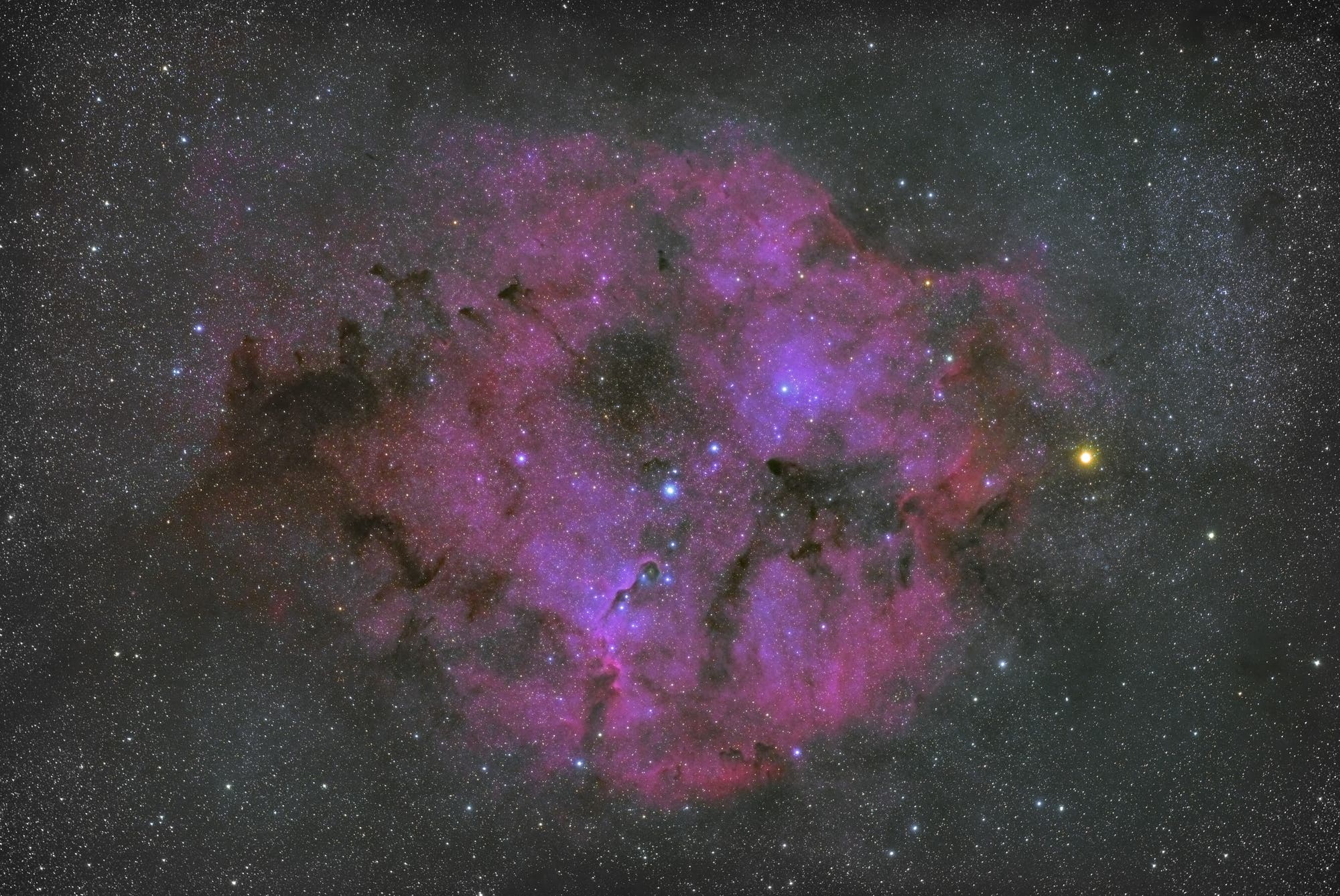 IC1396 in Kepheus