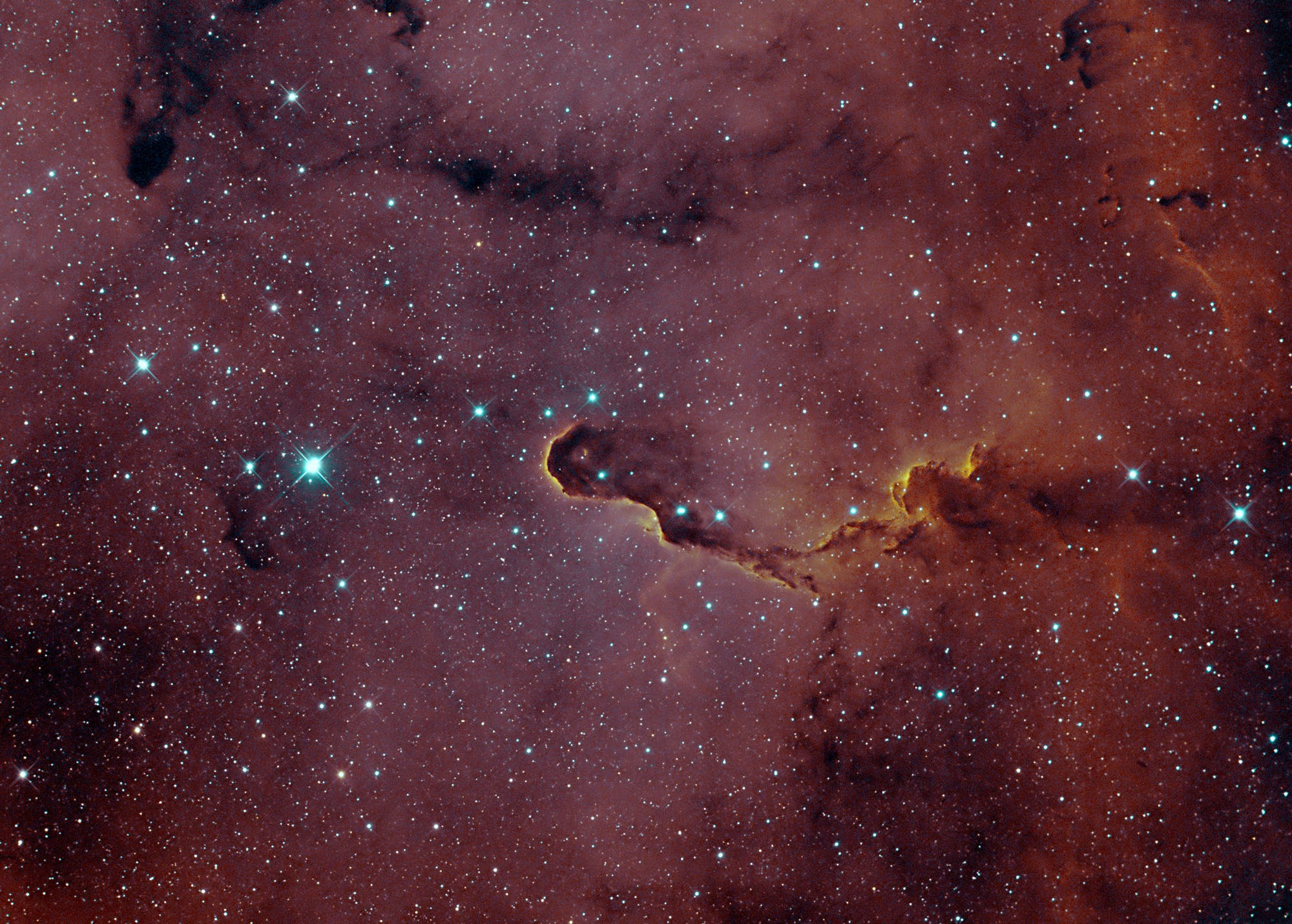 IC 1396A - Elefantenrüsselnebel Bicolor