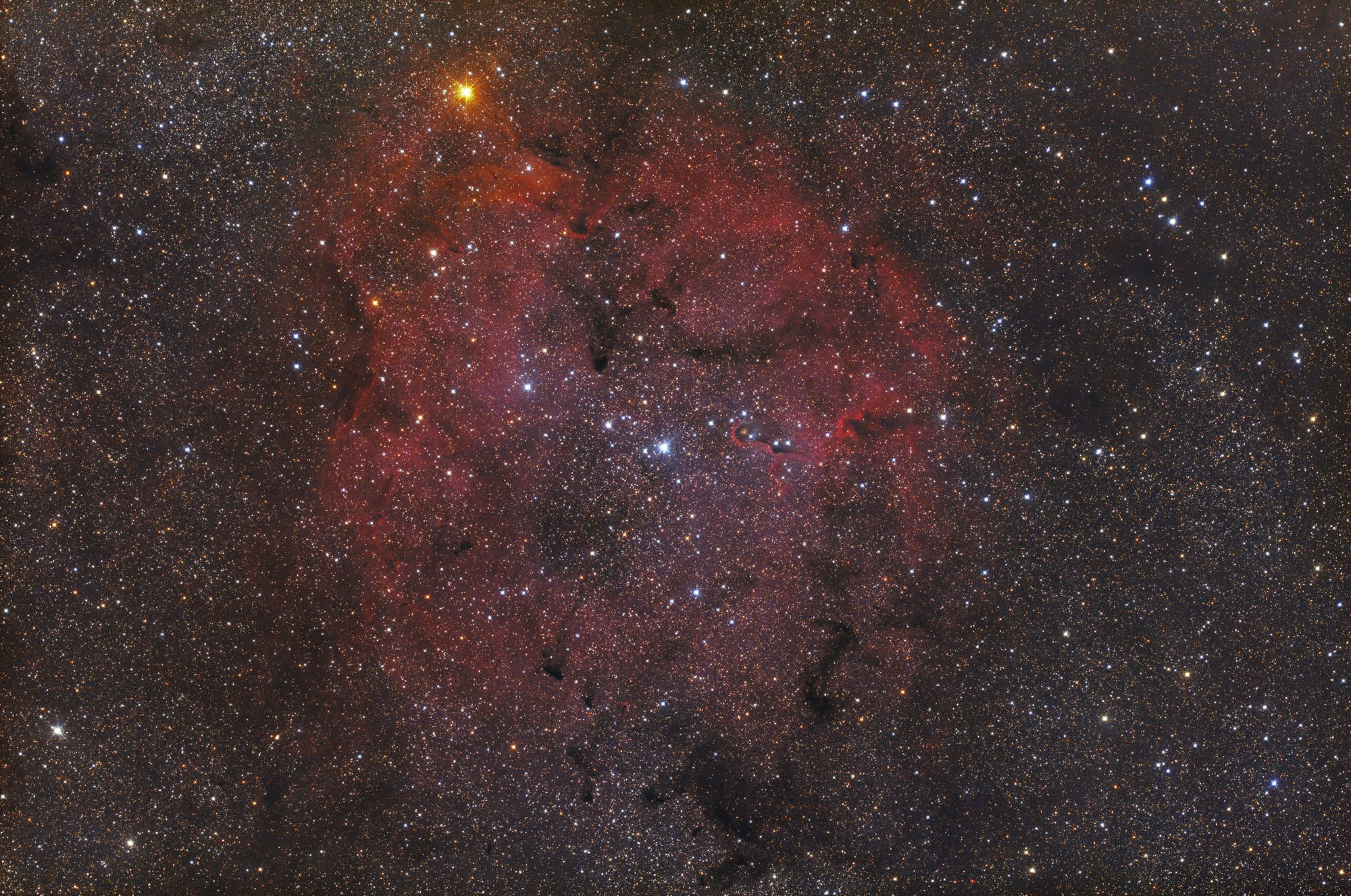 IC 1396 mit 430 mm Brennweite