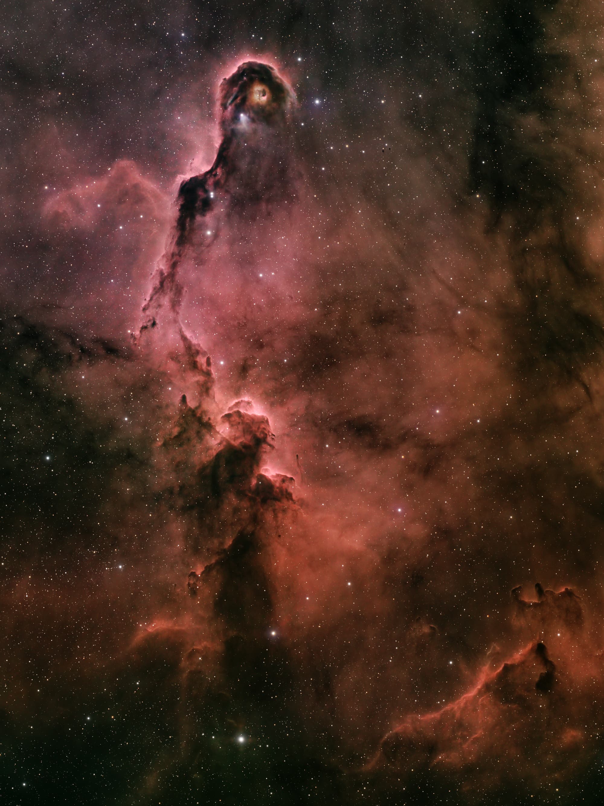 Elefantenrüsselnebel