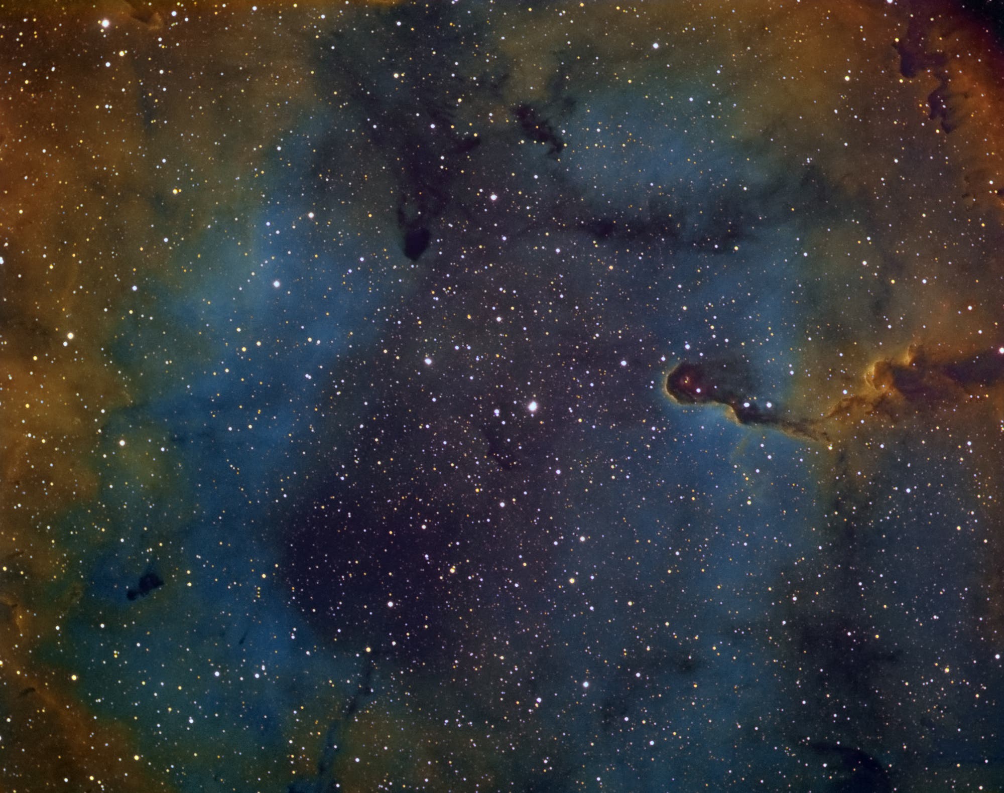 IC 1396 "Elephants trunk" in anderer Darstellung
