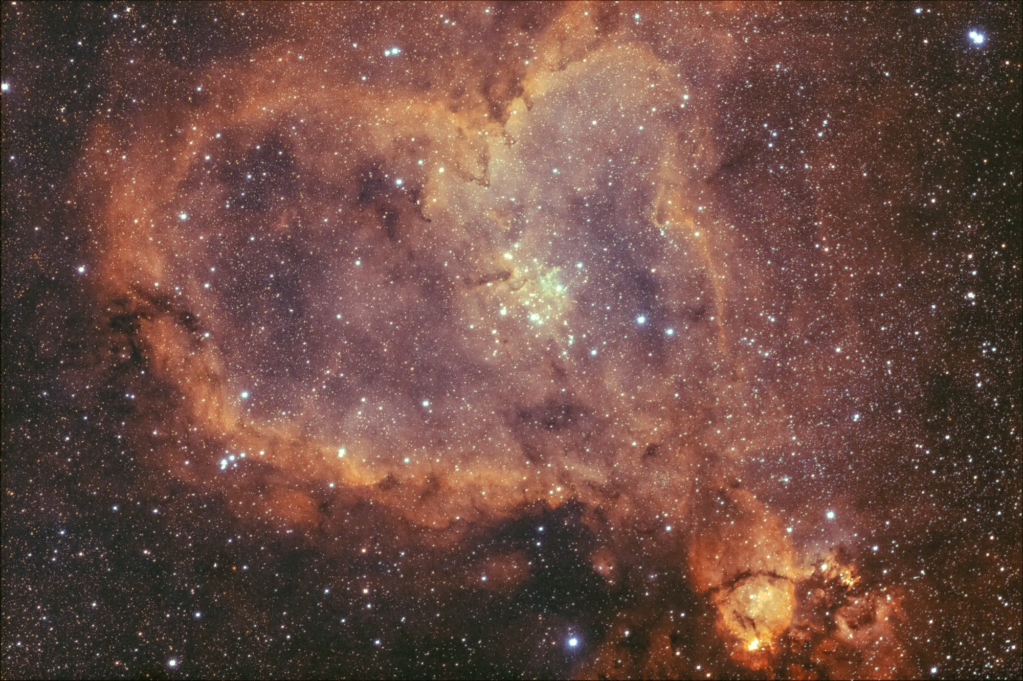 Herznebel IC1805 Bicolor