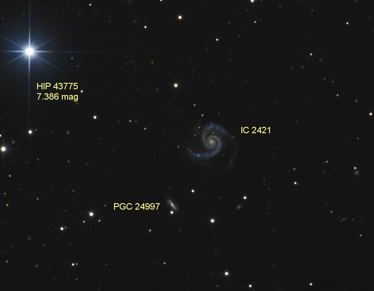 IC 2421 - Galaxie im Krebs (Objekte)