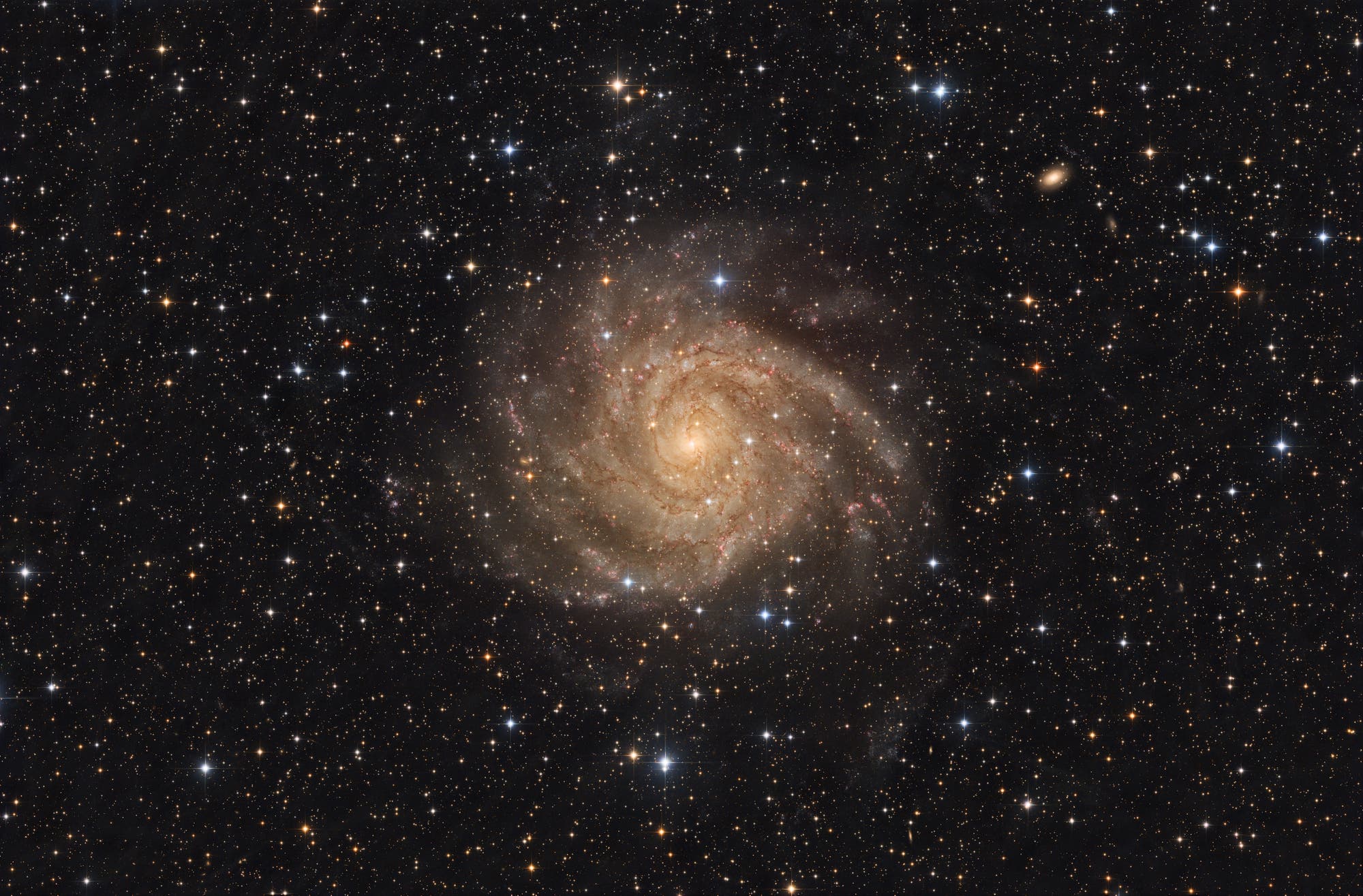 IC 342 Die Versteckte Galaxie