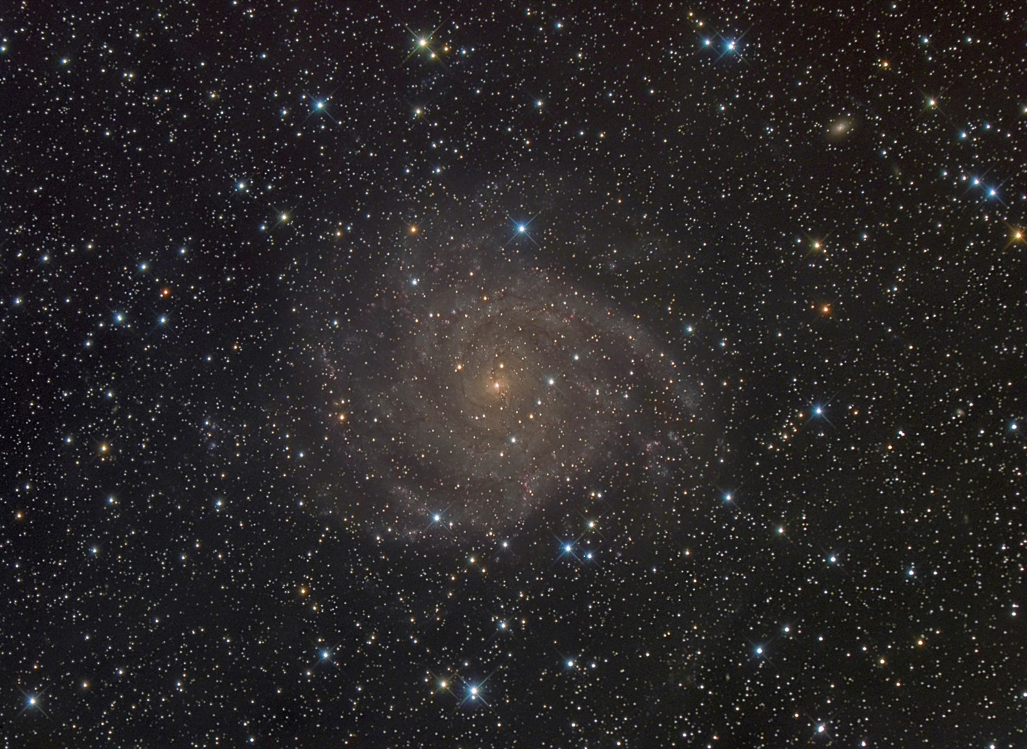 IC 342, eine verborgene Galaxie