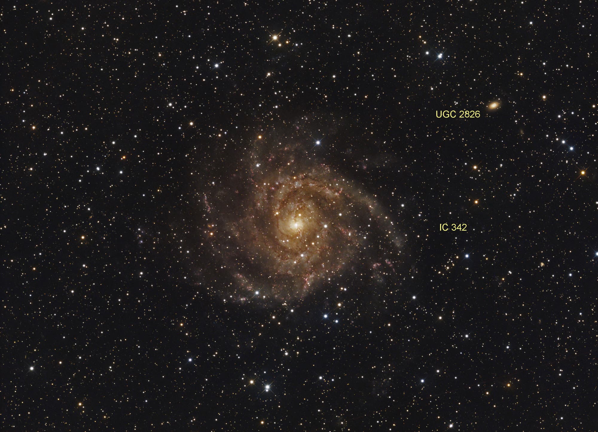 Hidden Galaxy IC 342 (mit Beschriftung)