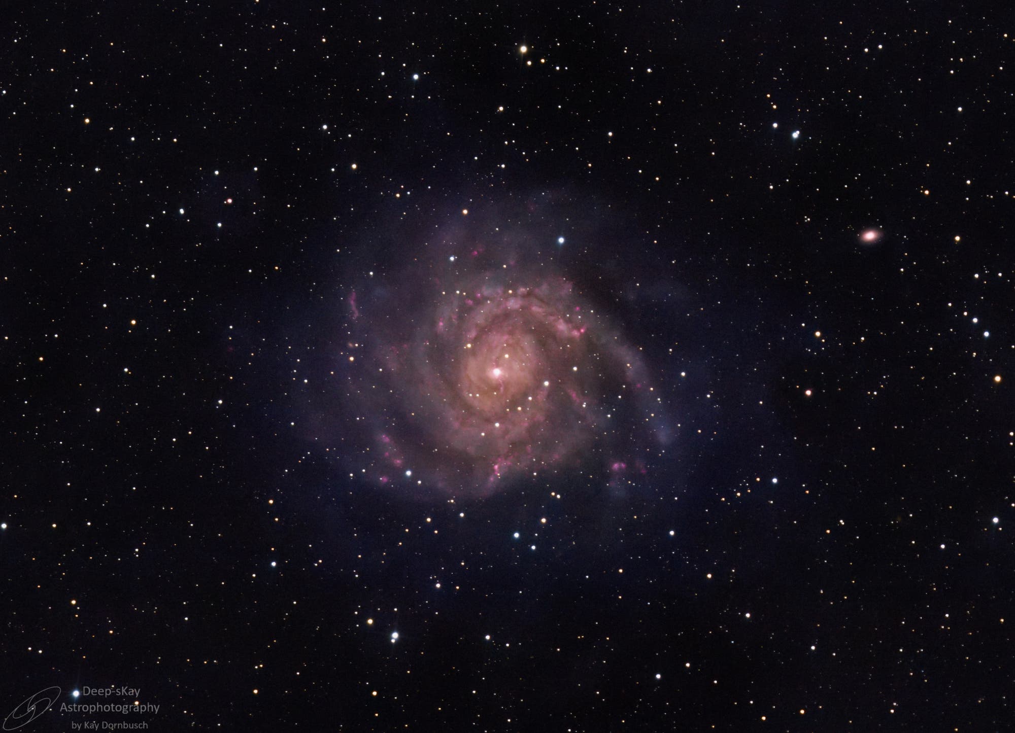 IC 342 - die versteckte Galaxie