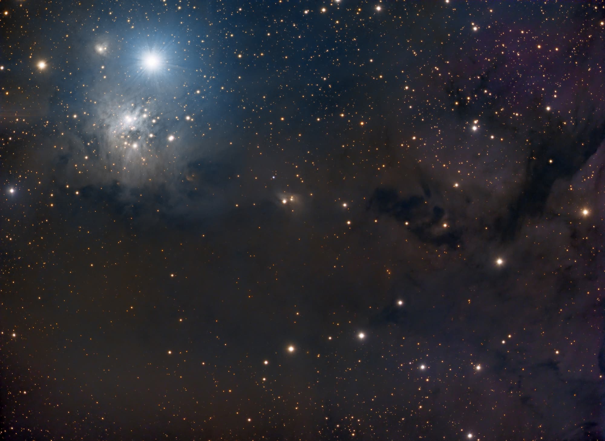 IC 348 und Dunkelwolken im Perseus