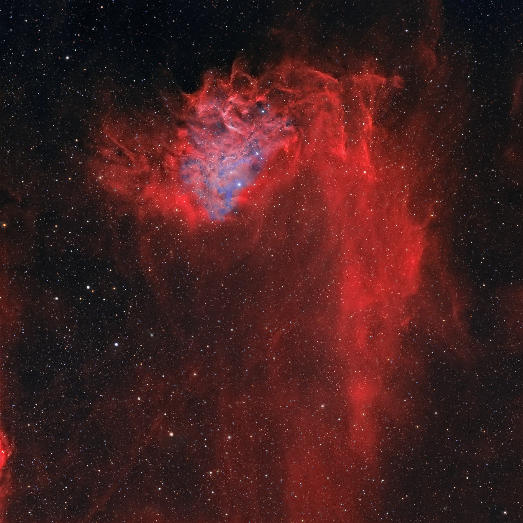 IC 405 - Flaming-Star-Nebel