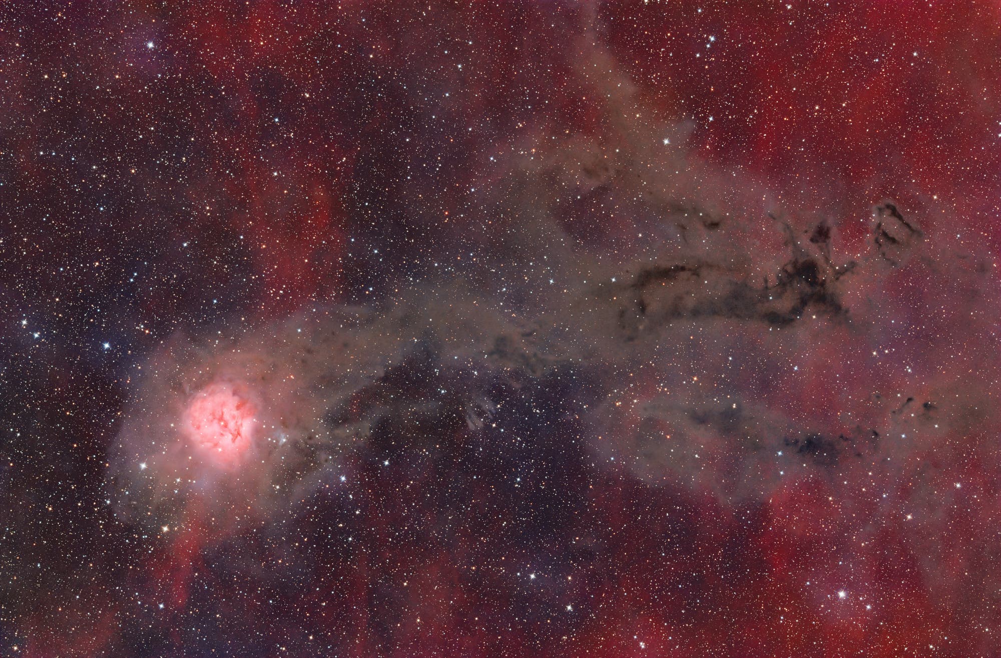 IC 5146, Kokon-Nebel mit Staubschweif