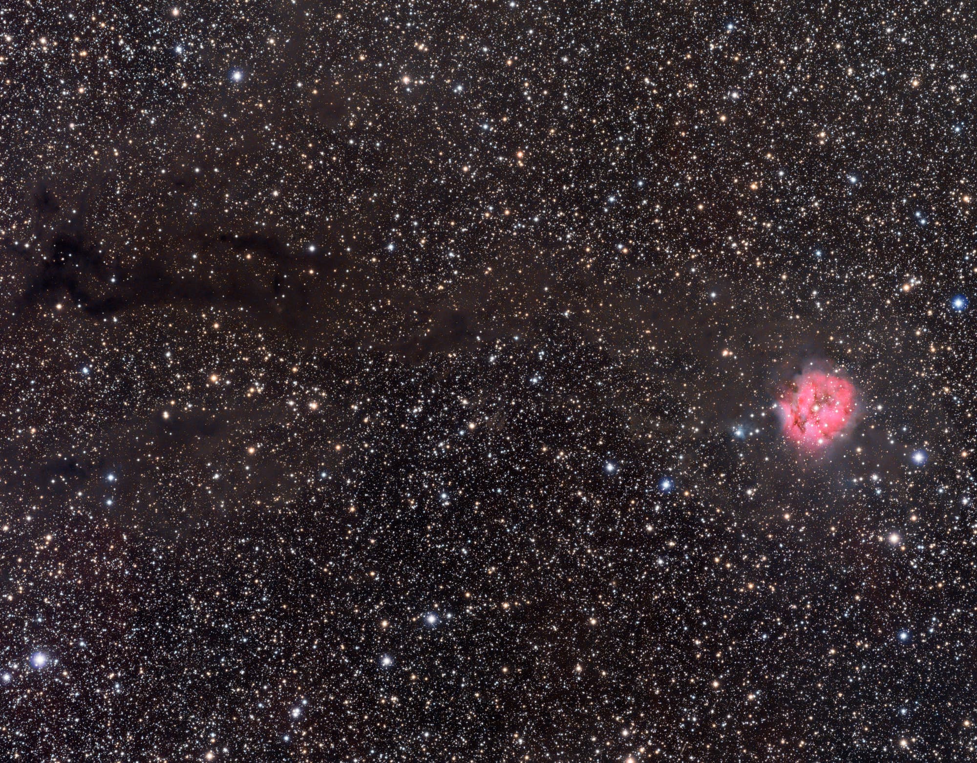 IC 5146 - eine sternreiche und farbenprächtige Region im Schwan