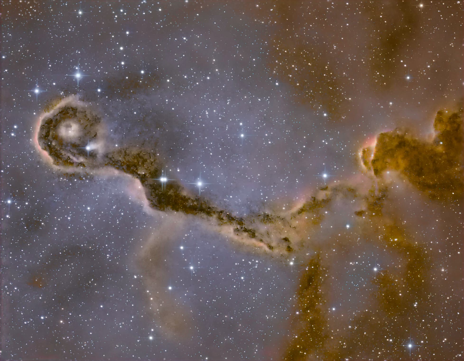 IC 1396A Elefantenrüssel-Nebel