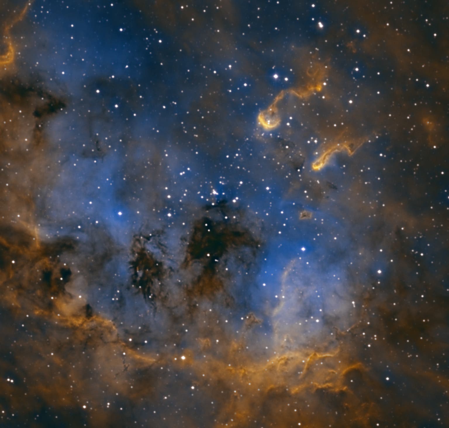 IC 410 Tadpole Nebula, Bicolor