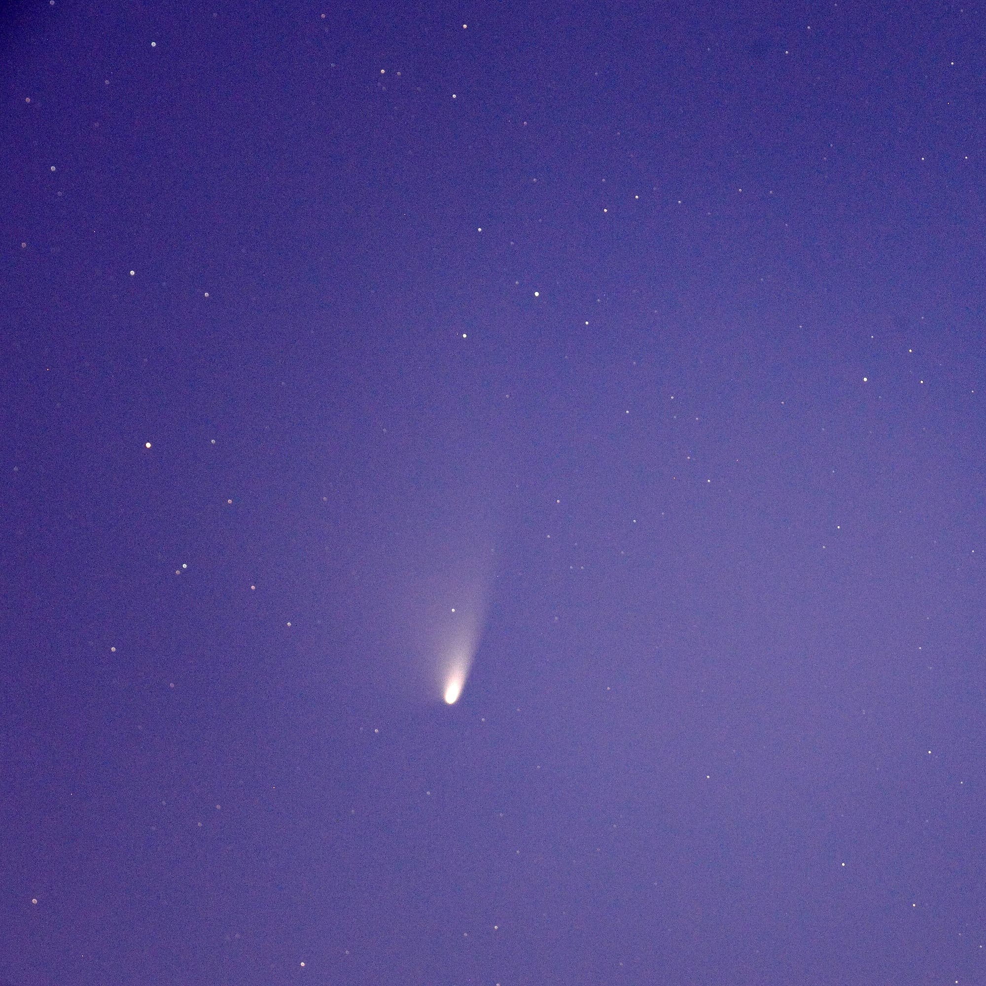 Komet PANSTARRS am 24. März 2013