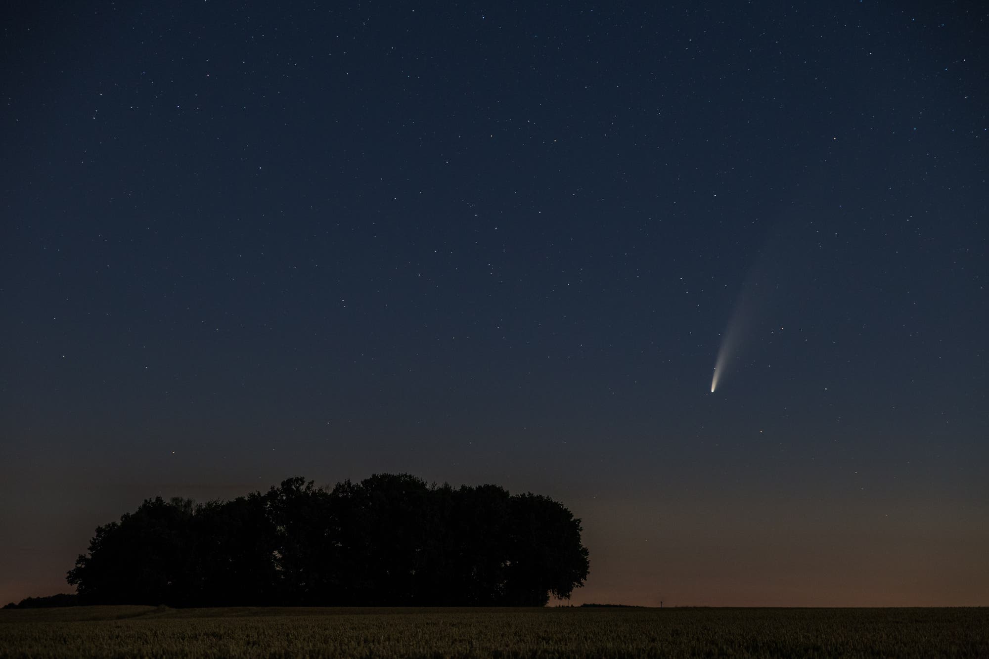 Komet Neowise am 12. Juli 2020 -2