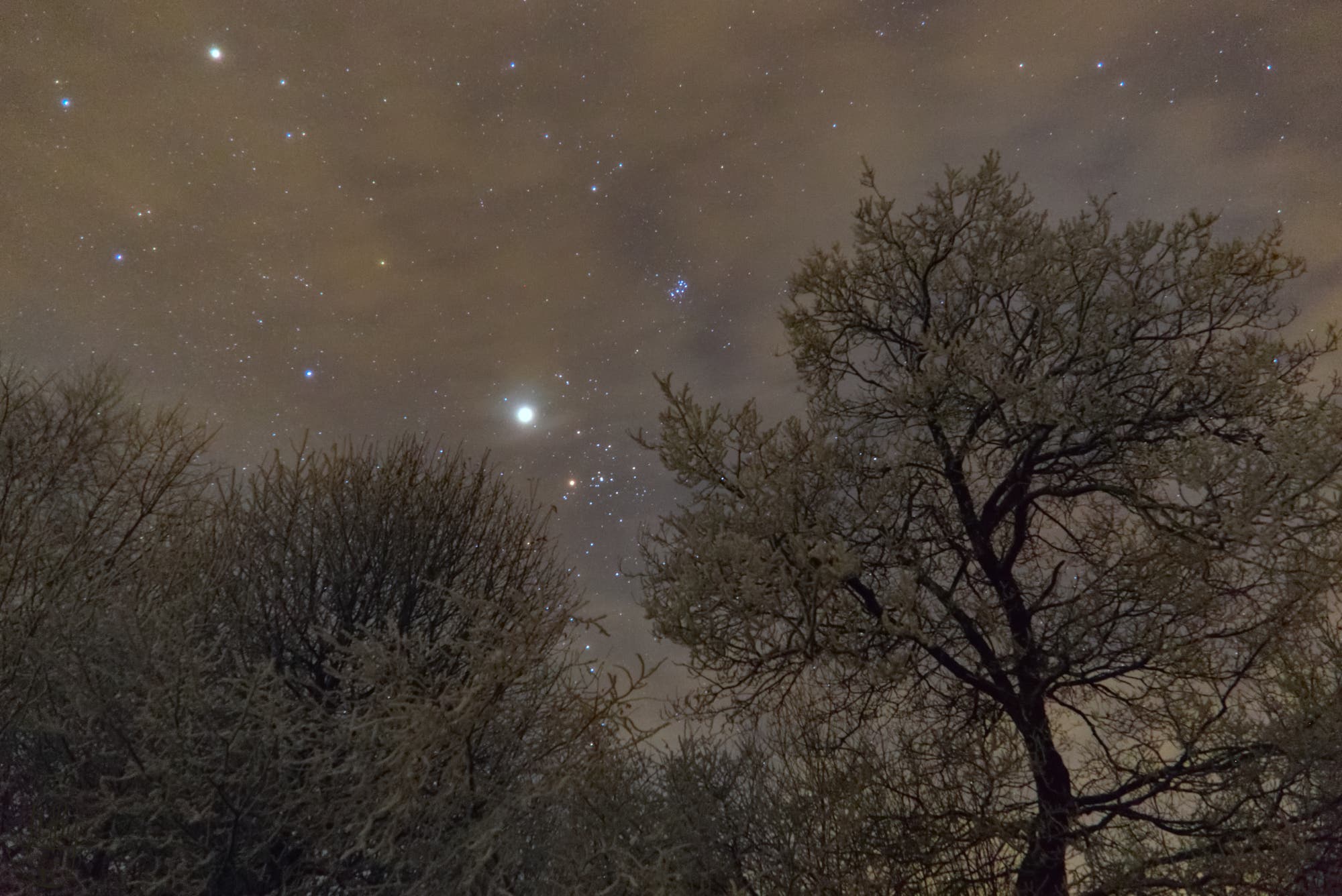 Jupiter in hübscher Gesellschaft