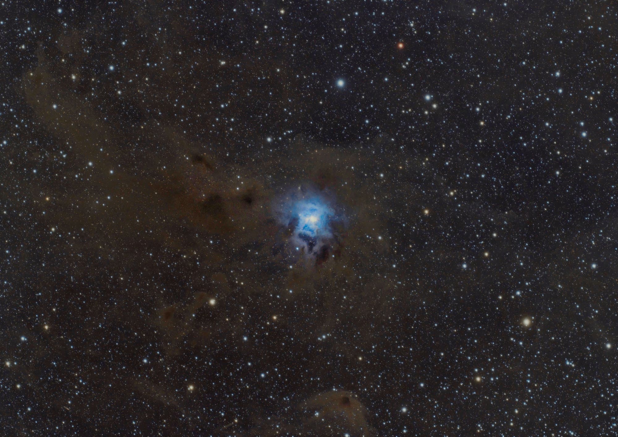 Irisnebel - NGC 7023
