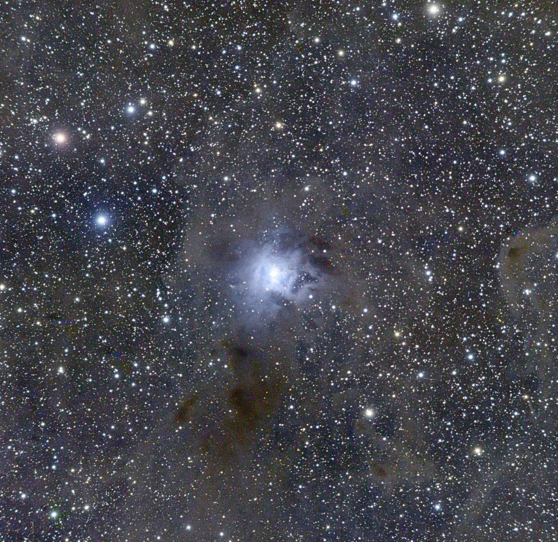 Der Irisnebel - NGC 7023