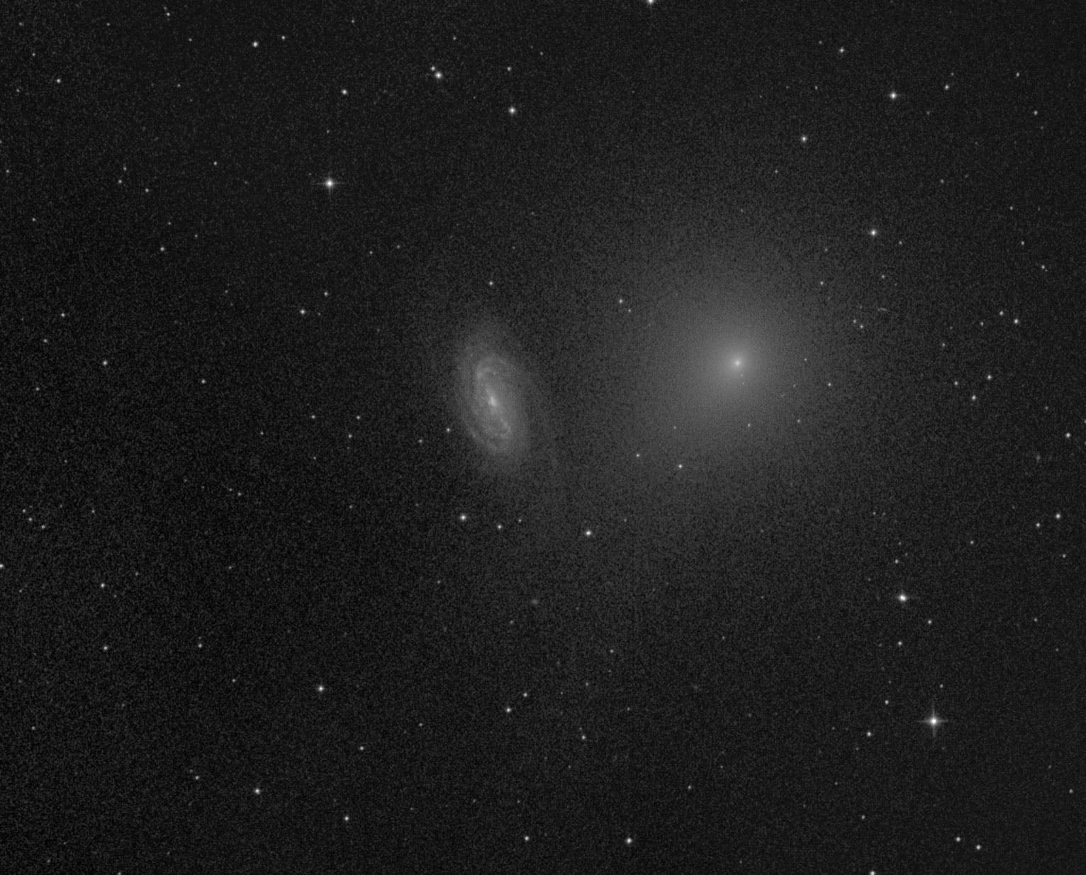 Komet C/2018 Y1 (Iwamoto) bei NGC 2903