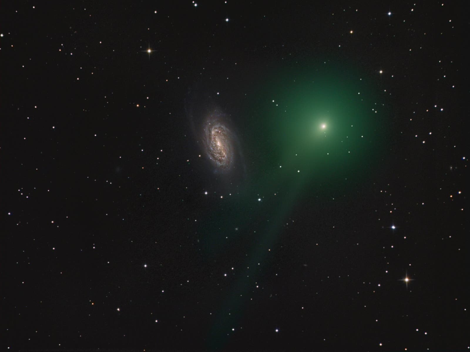 Komet C/2018 Y1 (Iwamoto) bei NGC 2903