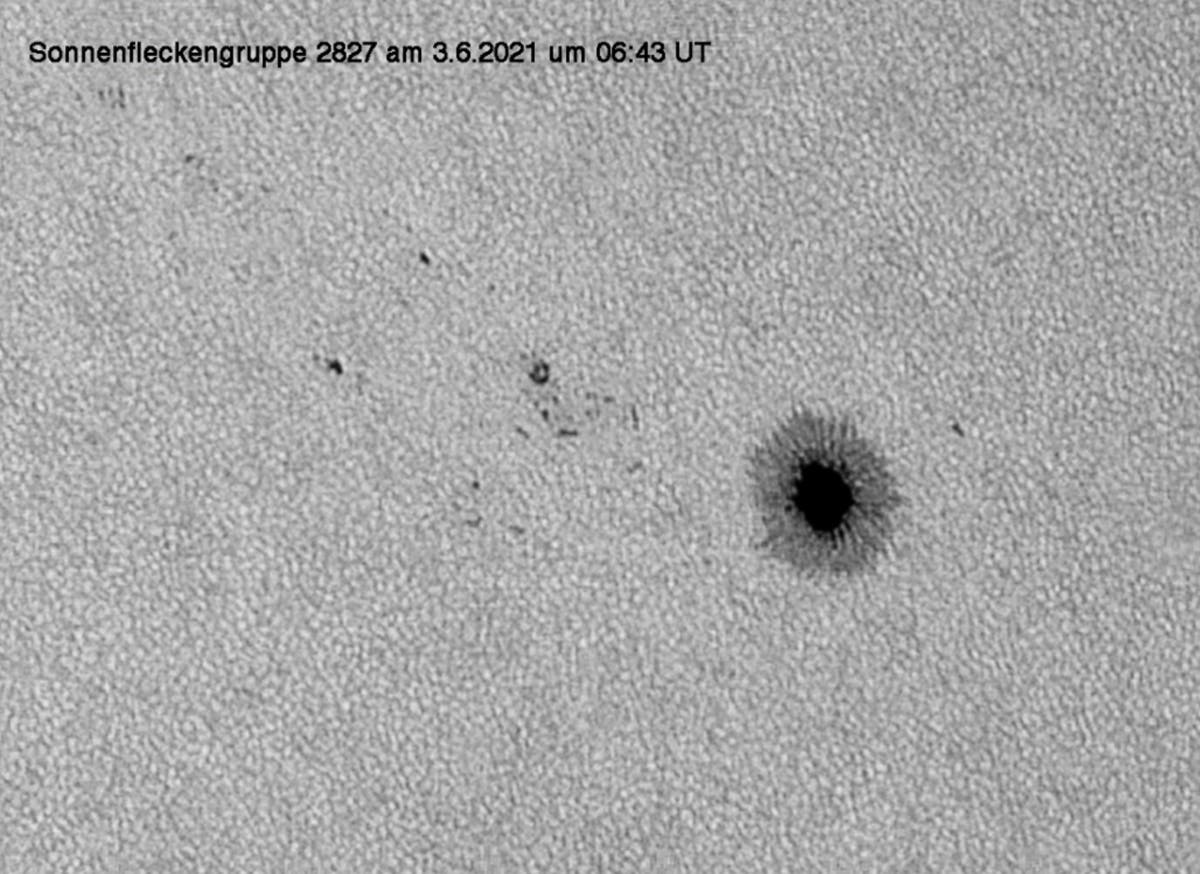 Sonnenfleckengruppe 2827 am 3. Juni 2021