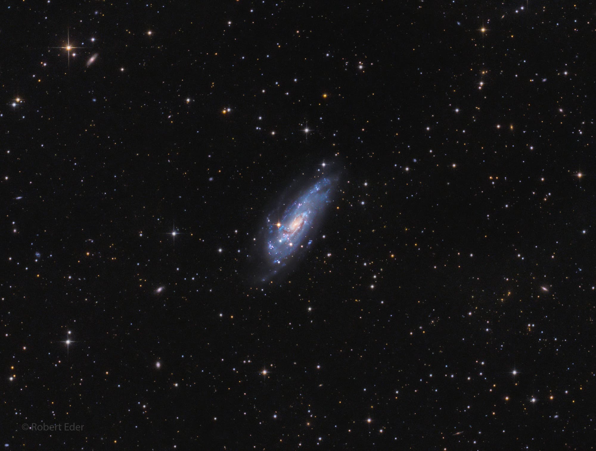 NGC 4559 - Koi-Fisch-Galaxie