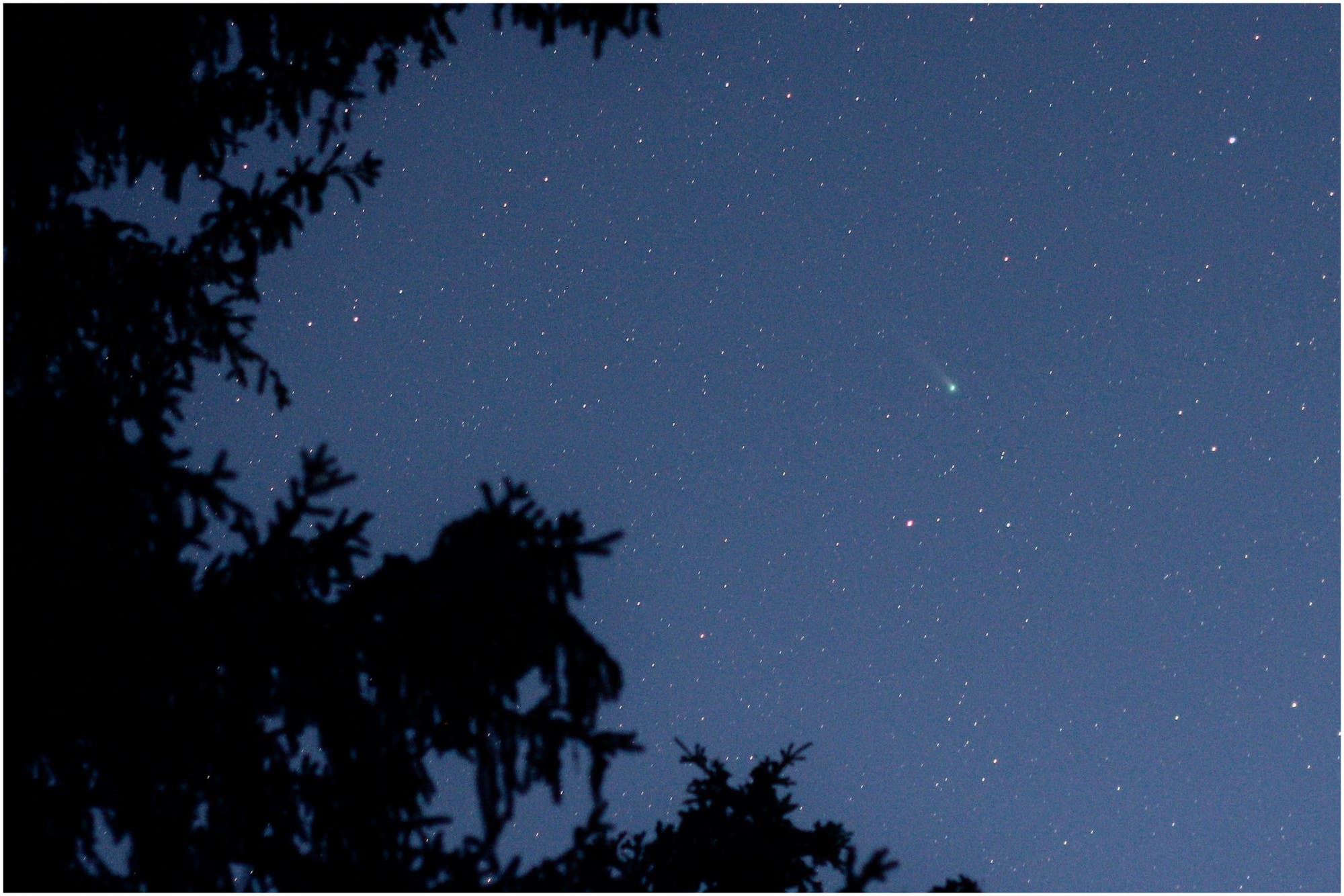 Komet C/2013 R1 (Lovejoy) am 1.12.2013