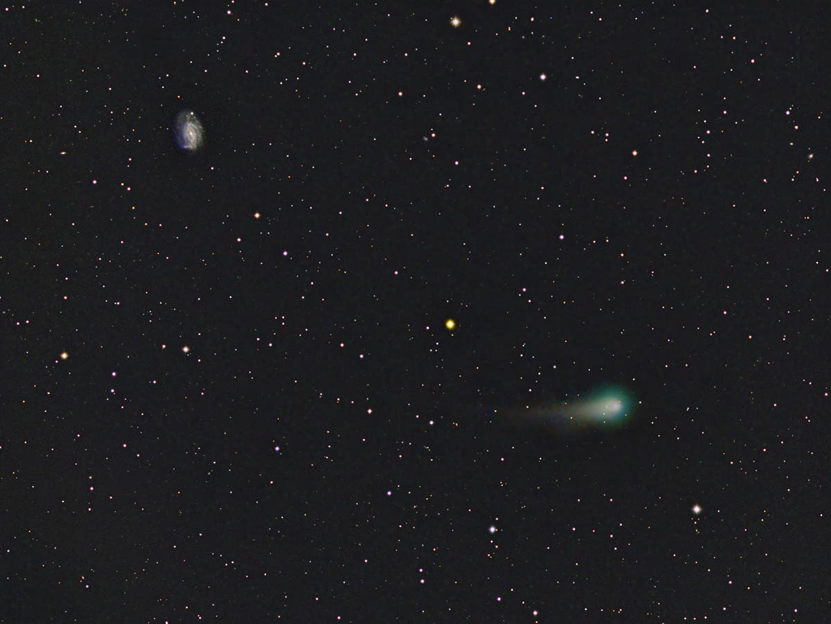 Komet C/2012 K1 (PANNSTARRS) bei Galaxie NGC 3726