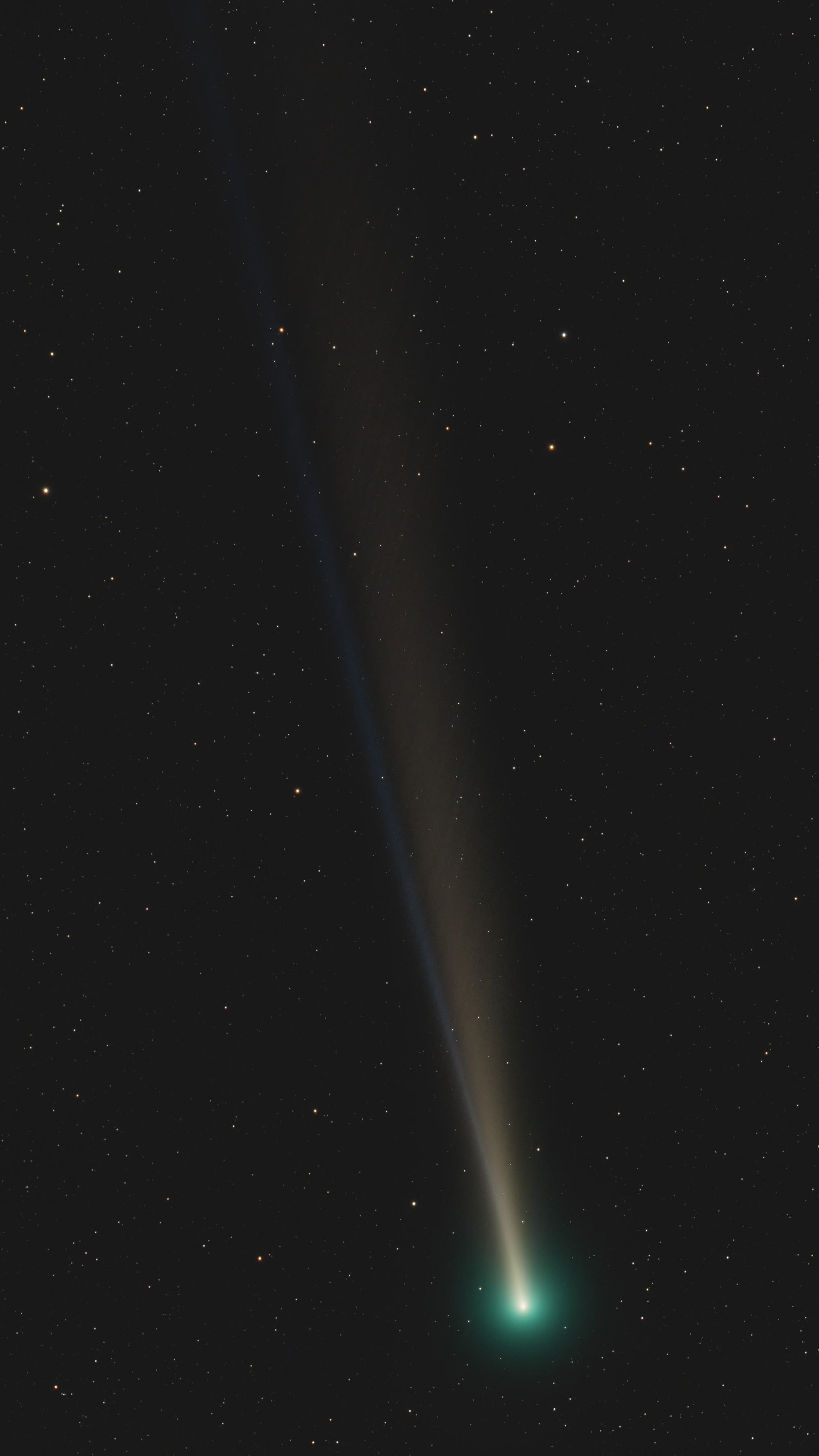 Komet C/2021 A1 (Leonard) am 10. Dezember 2021