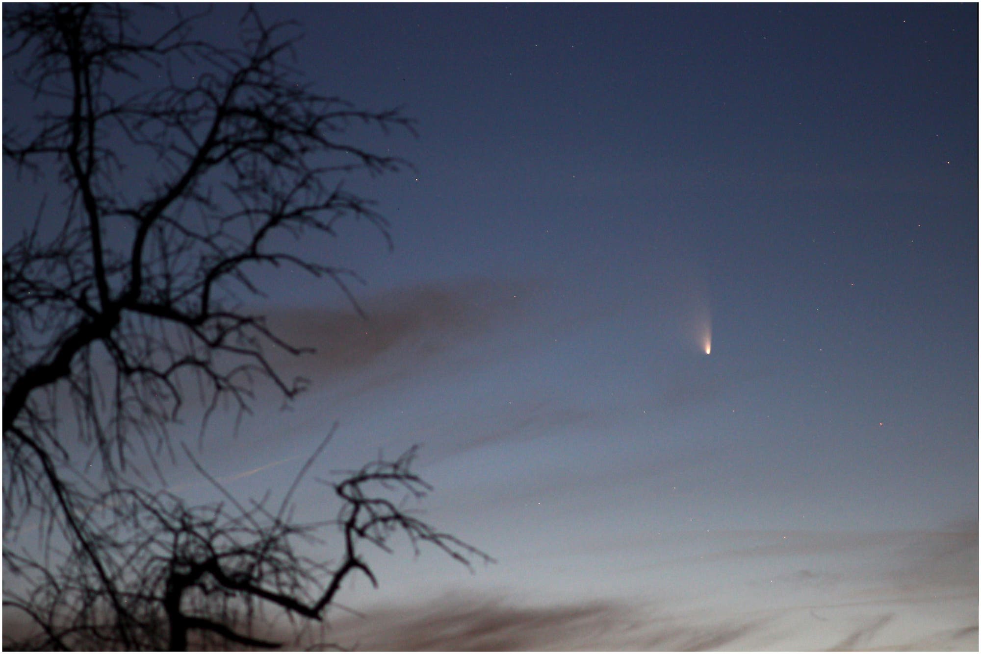 Komet PANSTARRS am 19.3.2013