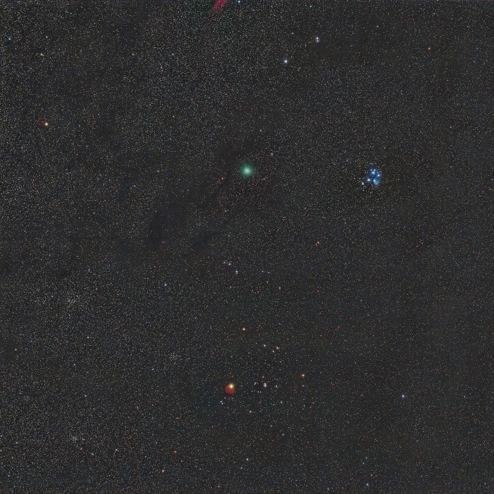 Komet 46P/Wirtanen im Stier