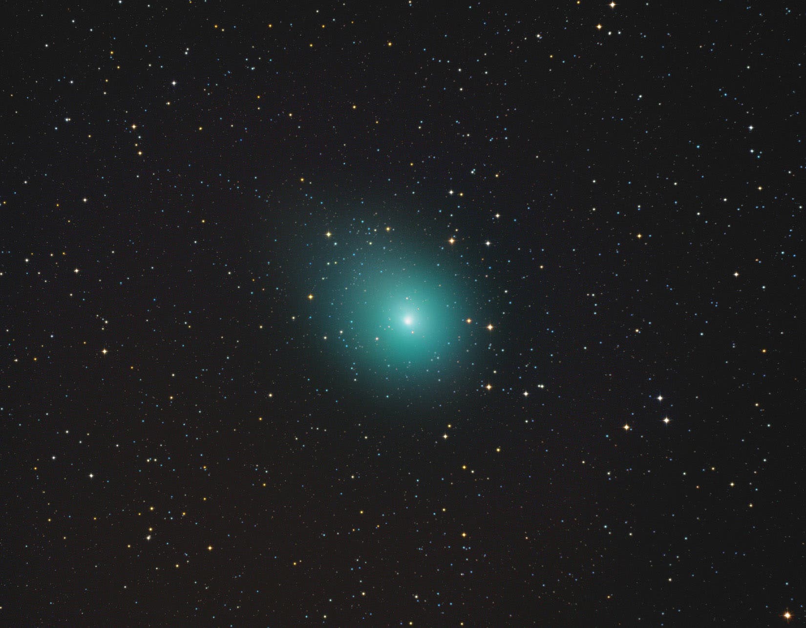 Komet Wirtanen/46P