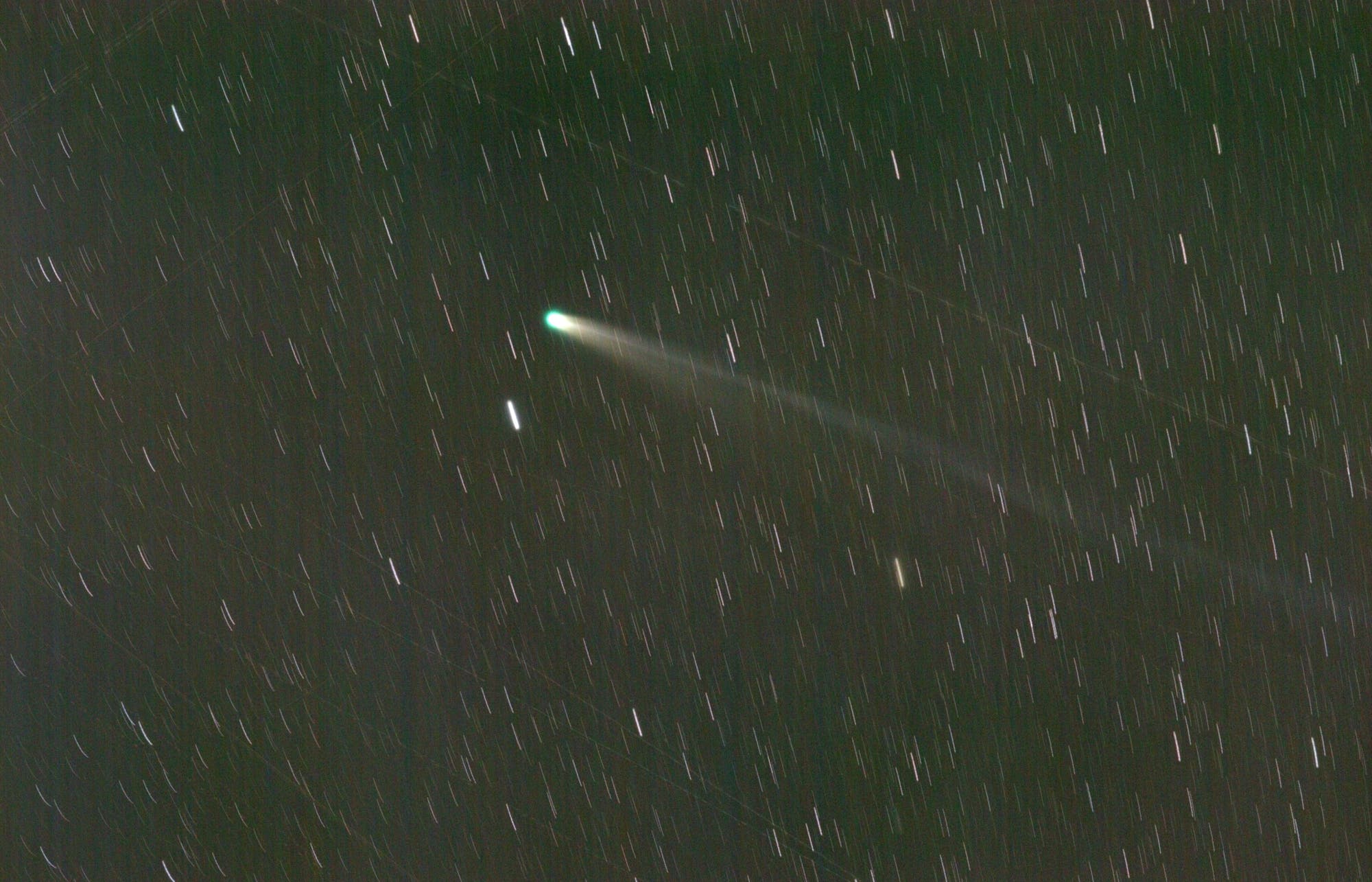 Komet C/2025 A6 Lemmon  (1)