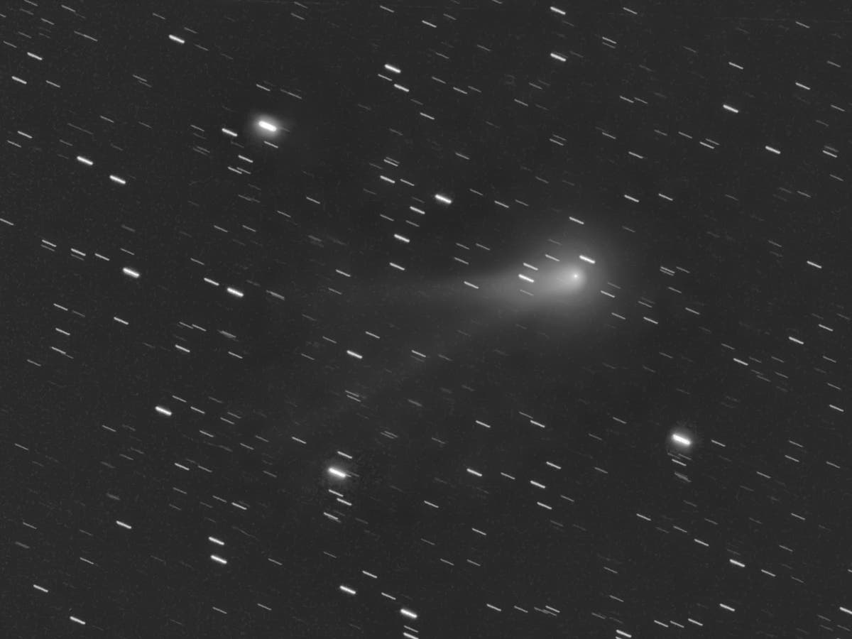 Komet C/2012 K1 (Panstarrs)