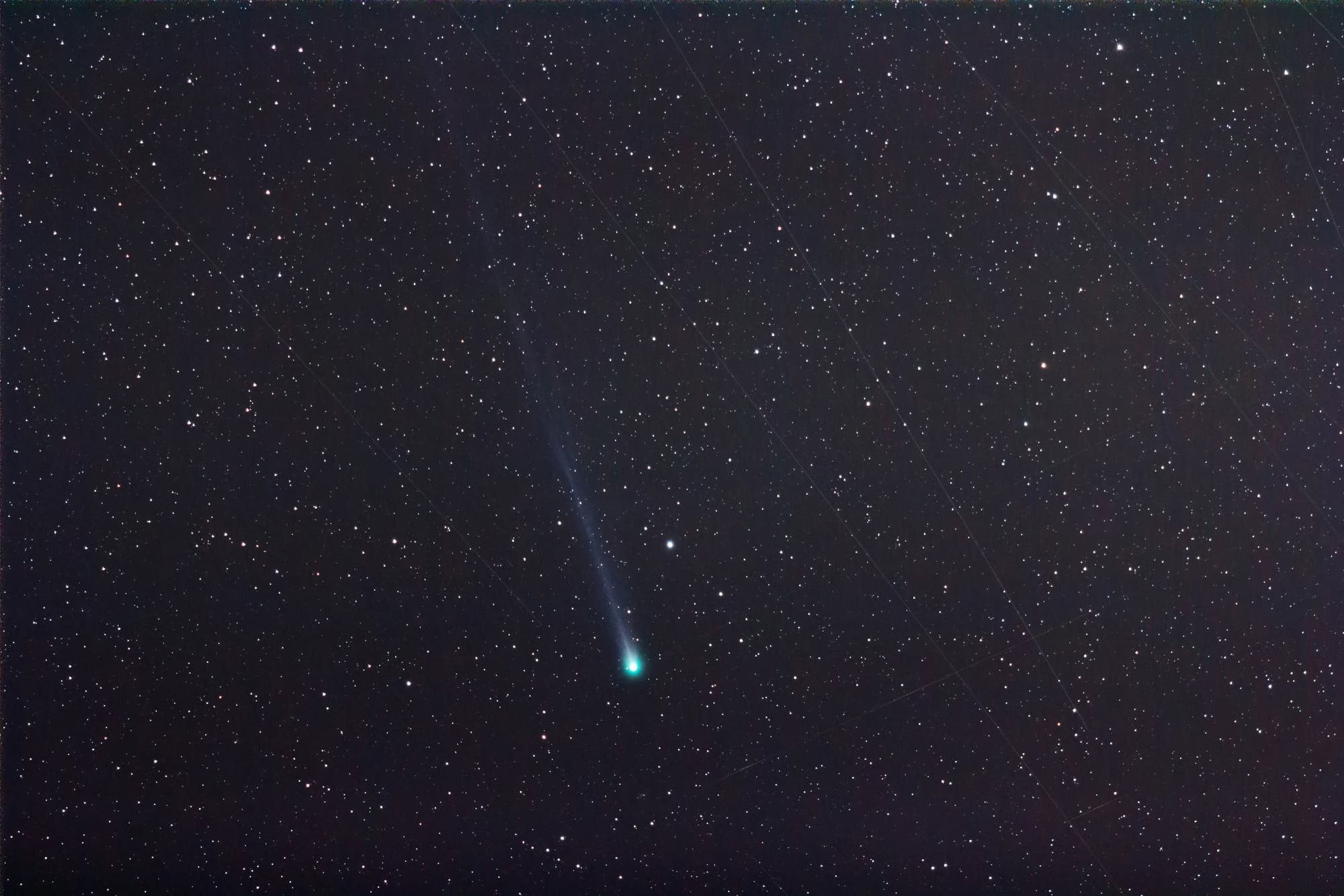 Komet Lemmon über der Lieberoser Heide