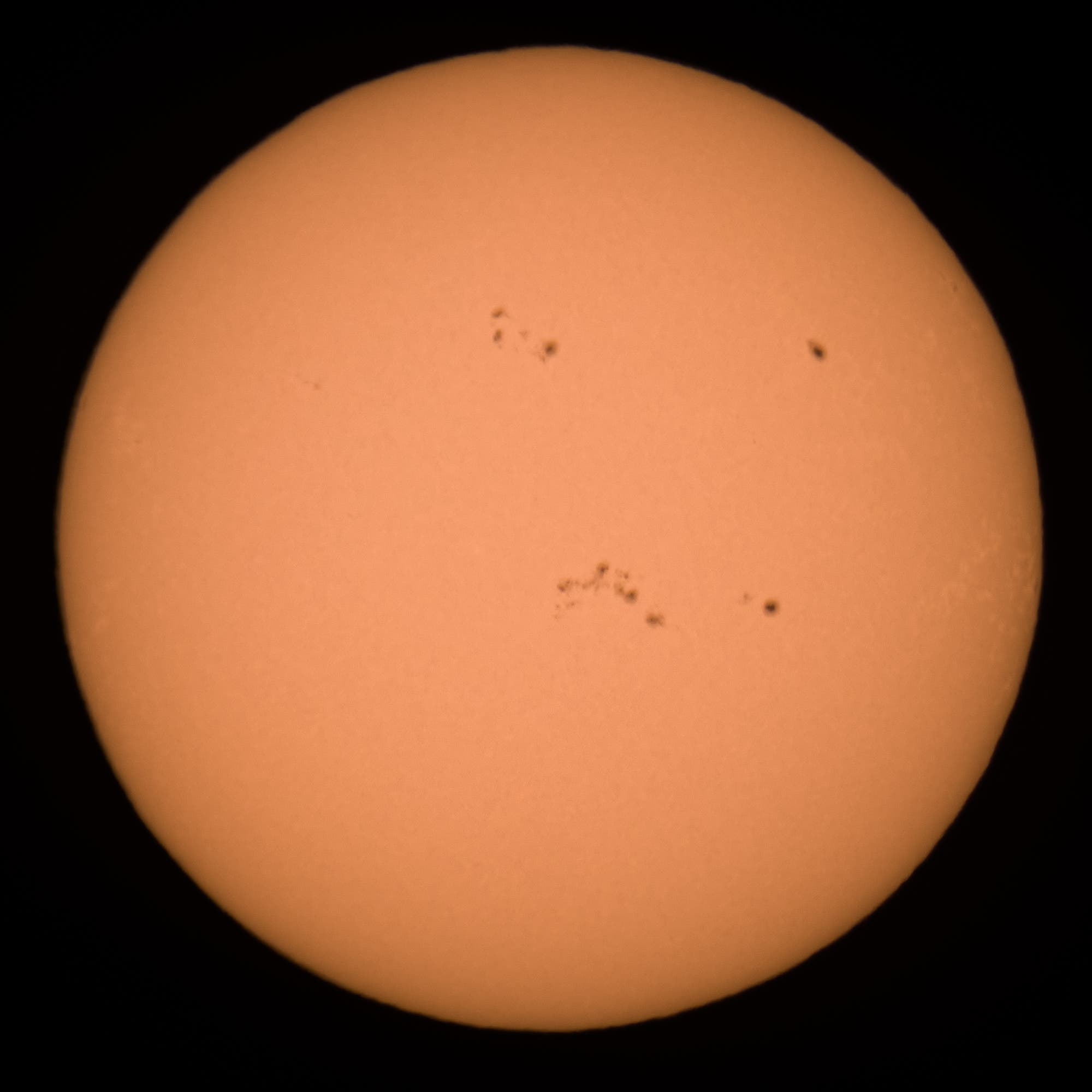 Sonne im Weißlicht am 22. Februar 2025