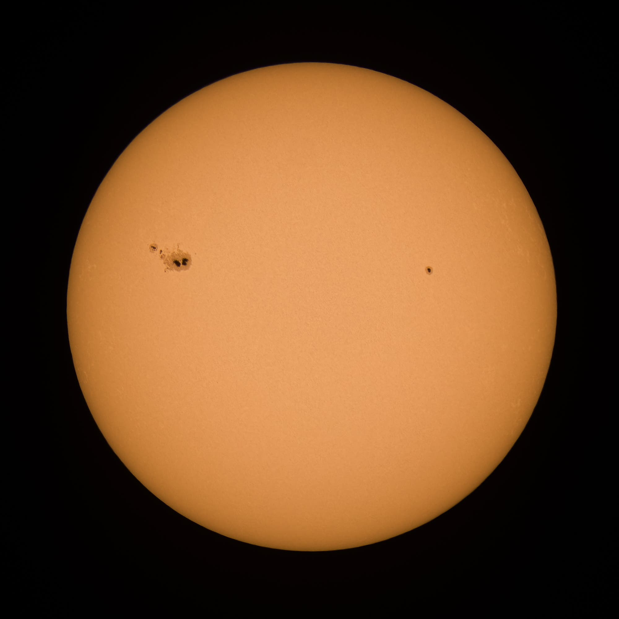Ganze Sonne im WL - 2. Mai 2025