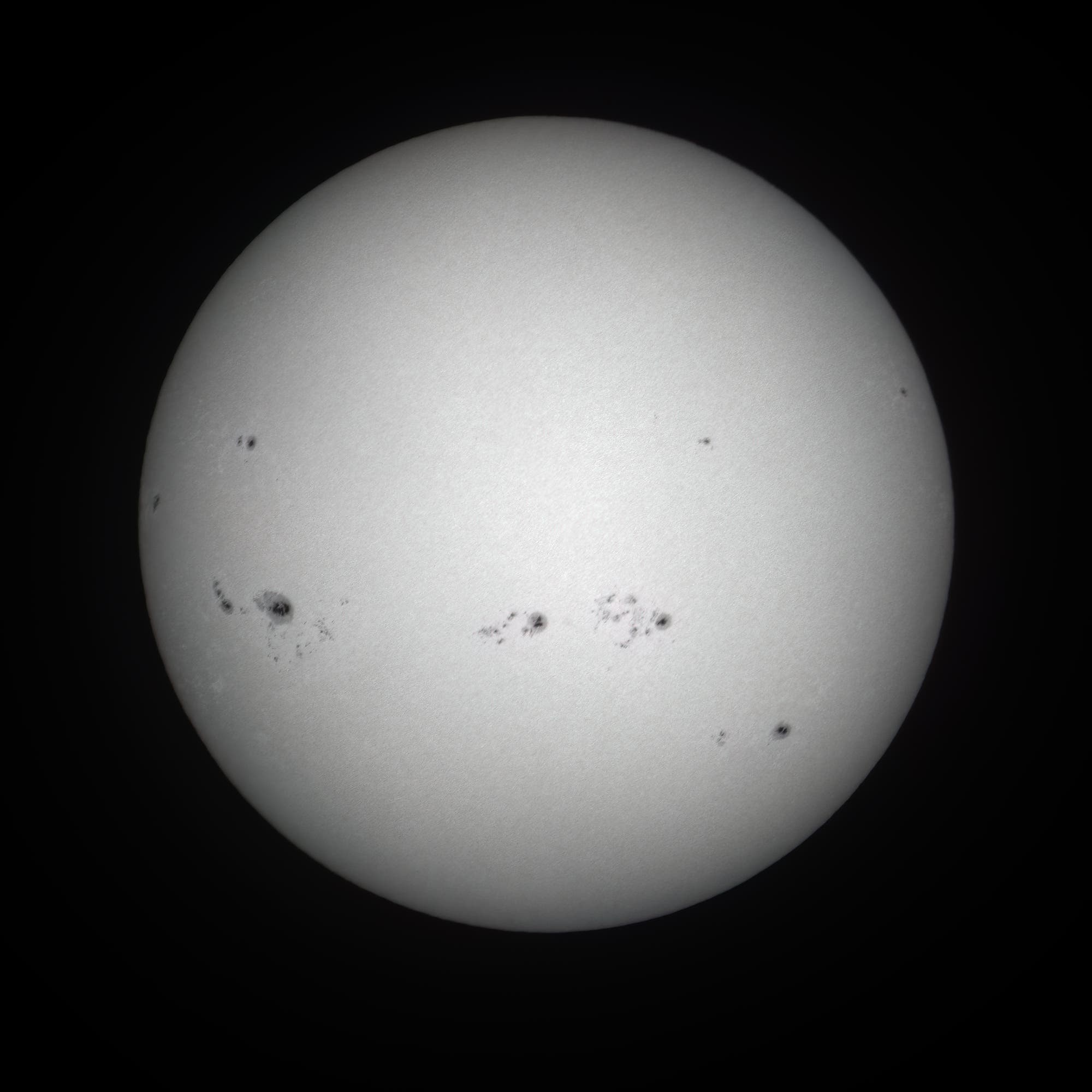 Ganze Sonne mit AR 3780 am 7. August 2024