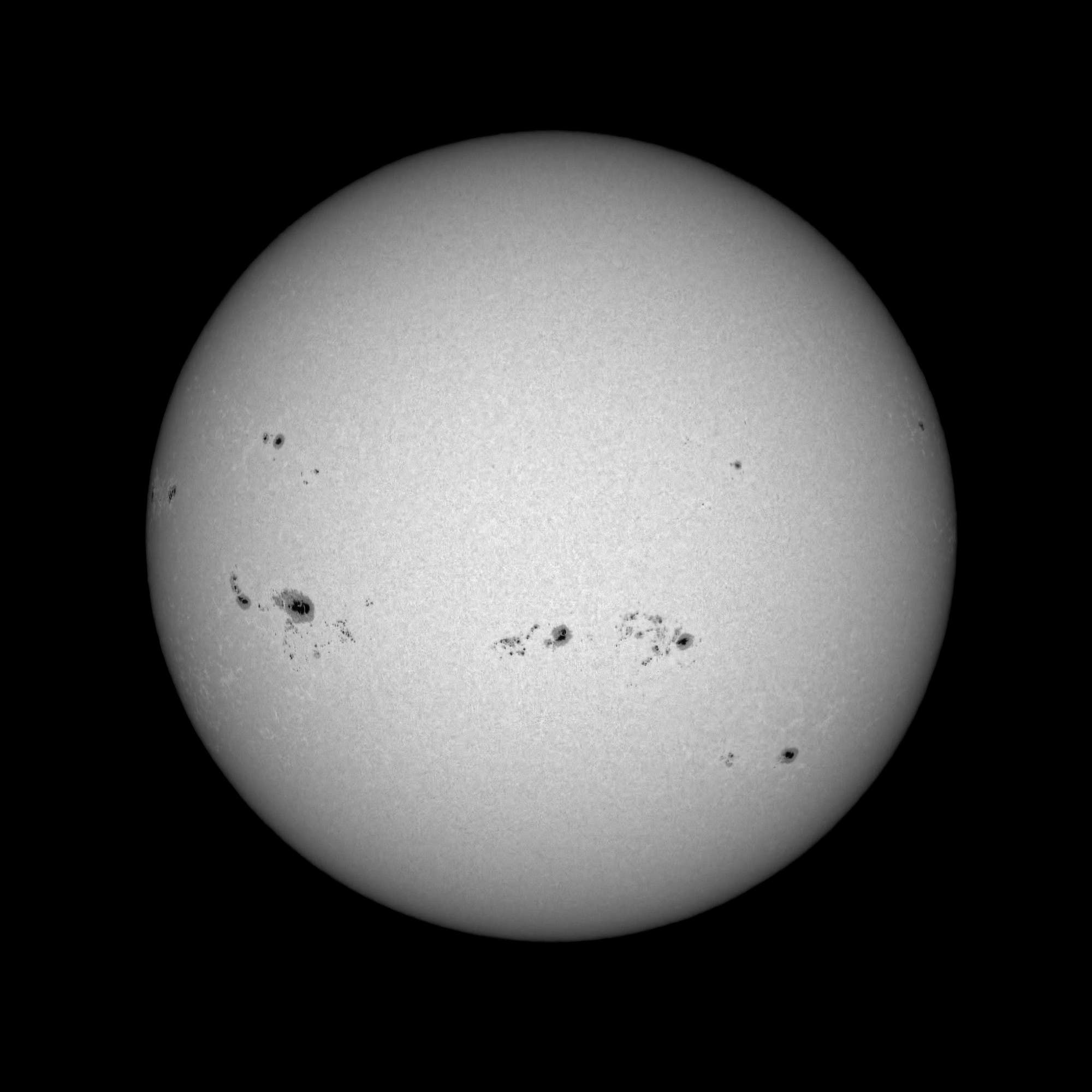 Ganze Sonne im Weißlicht am 7. August 2024 (höherer Stand)