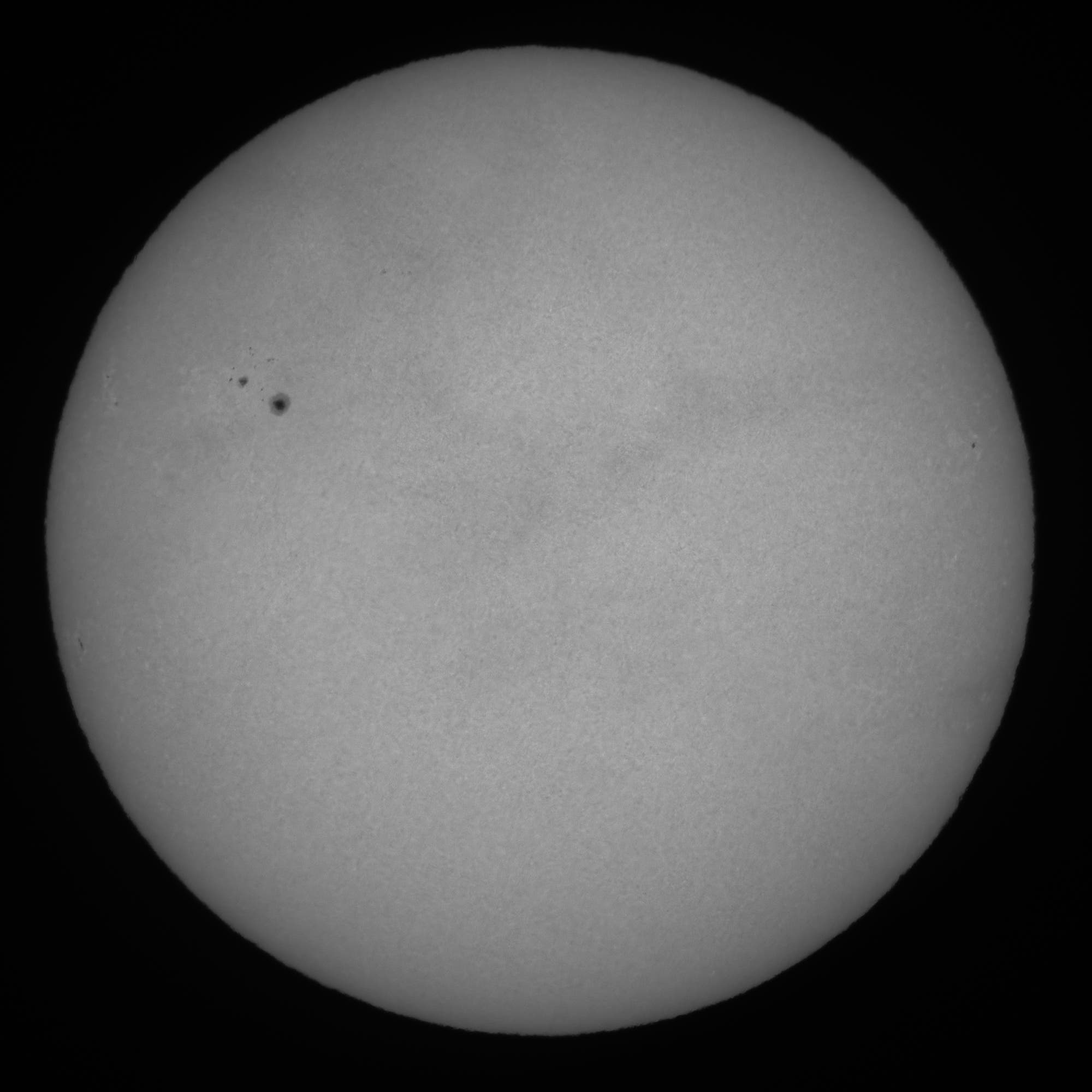 Ganze Sonne im Weißlicht am 16. Mai