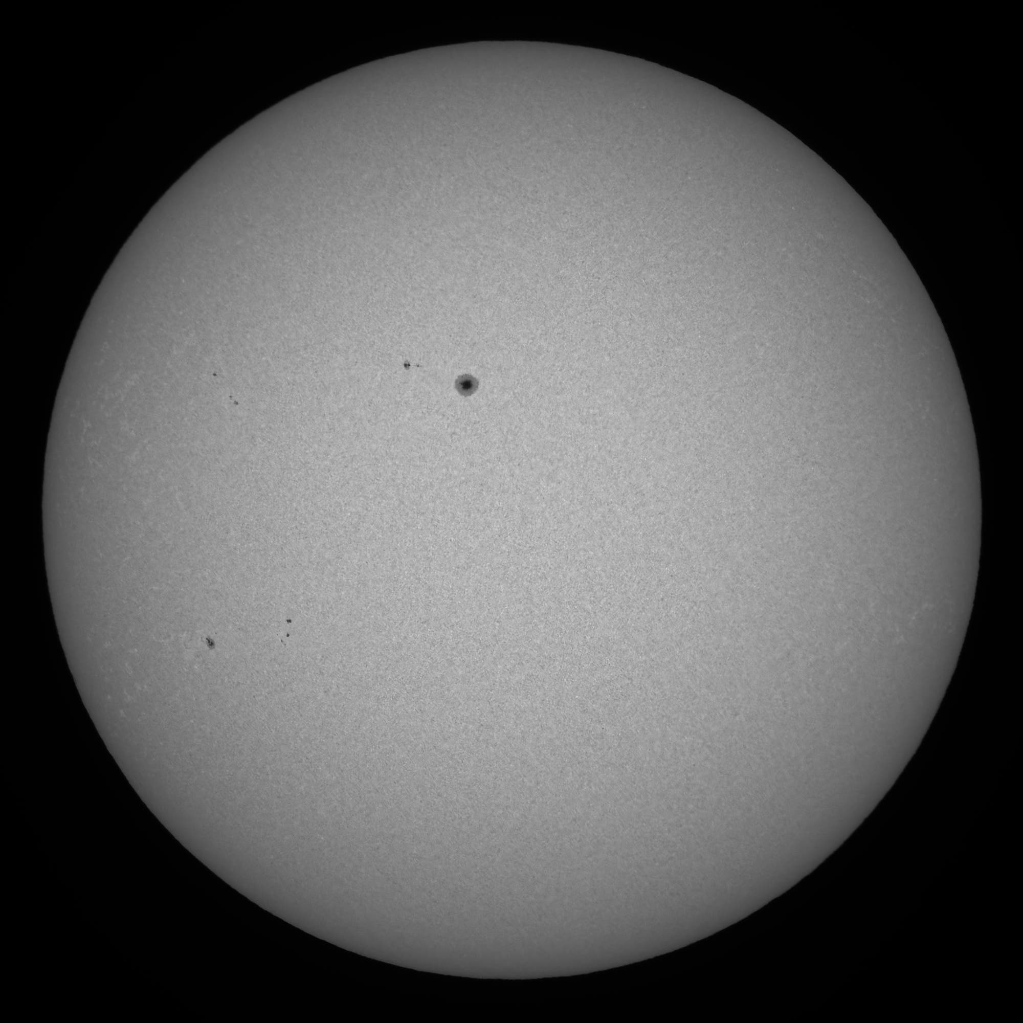 Ganze Sonne im Weißlicht am 18. Mai