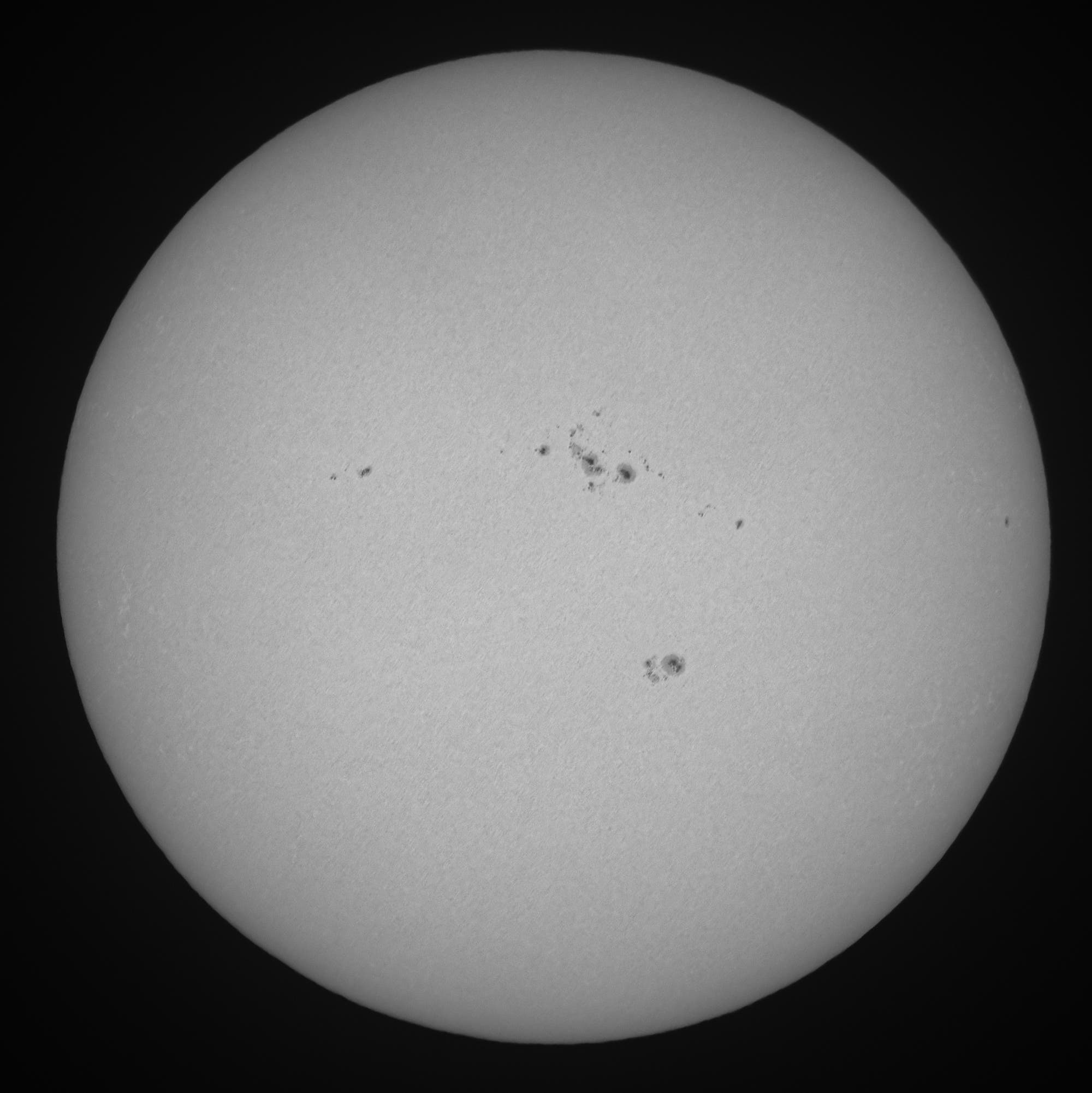 Ganze Sonne im Weißlicht am 1. Juni