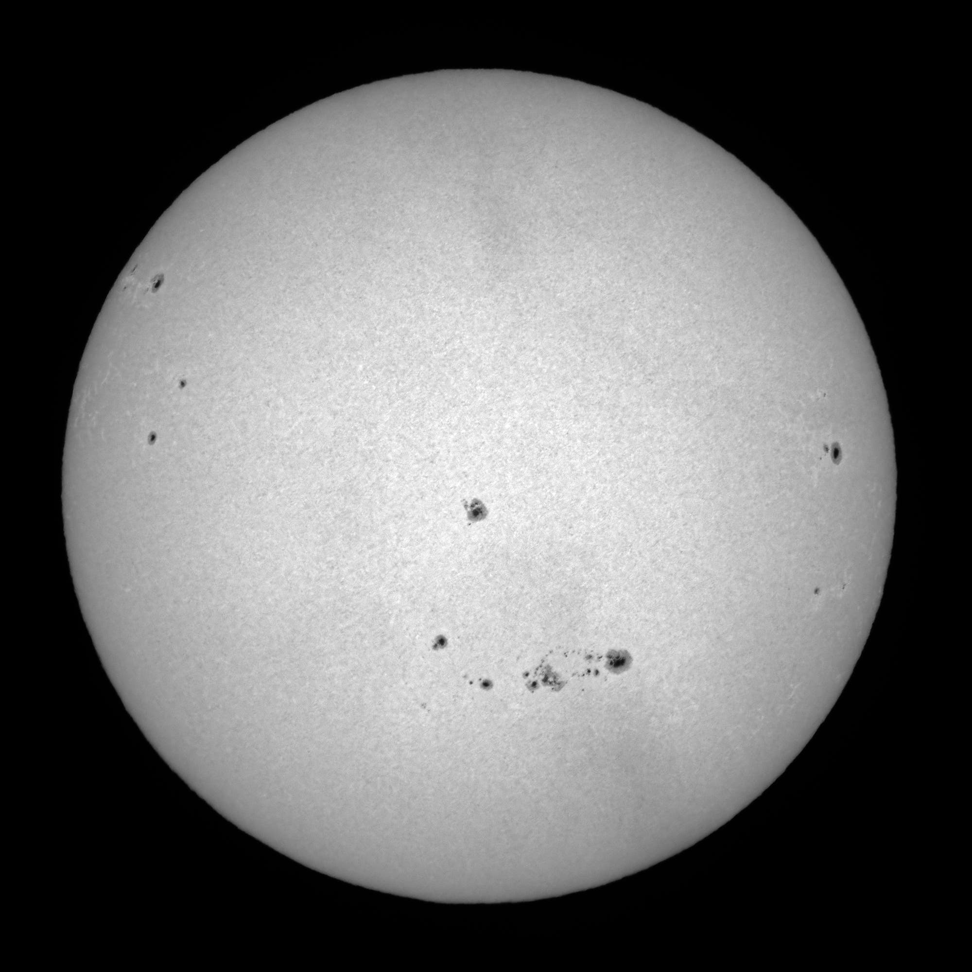 Ganze Sonne im Weißlicht am 31. August
