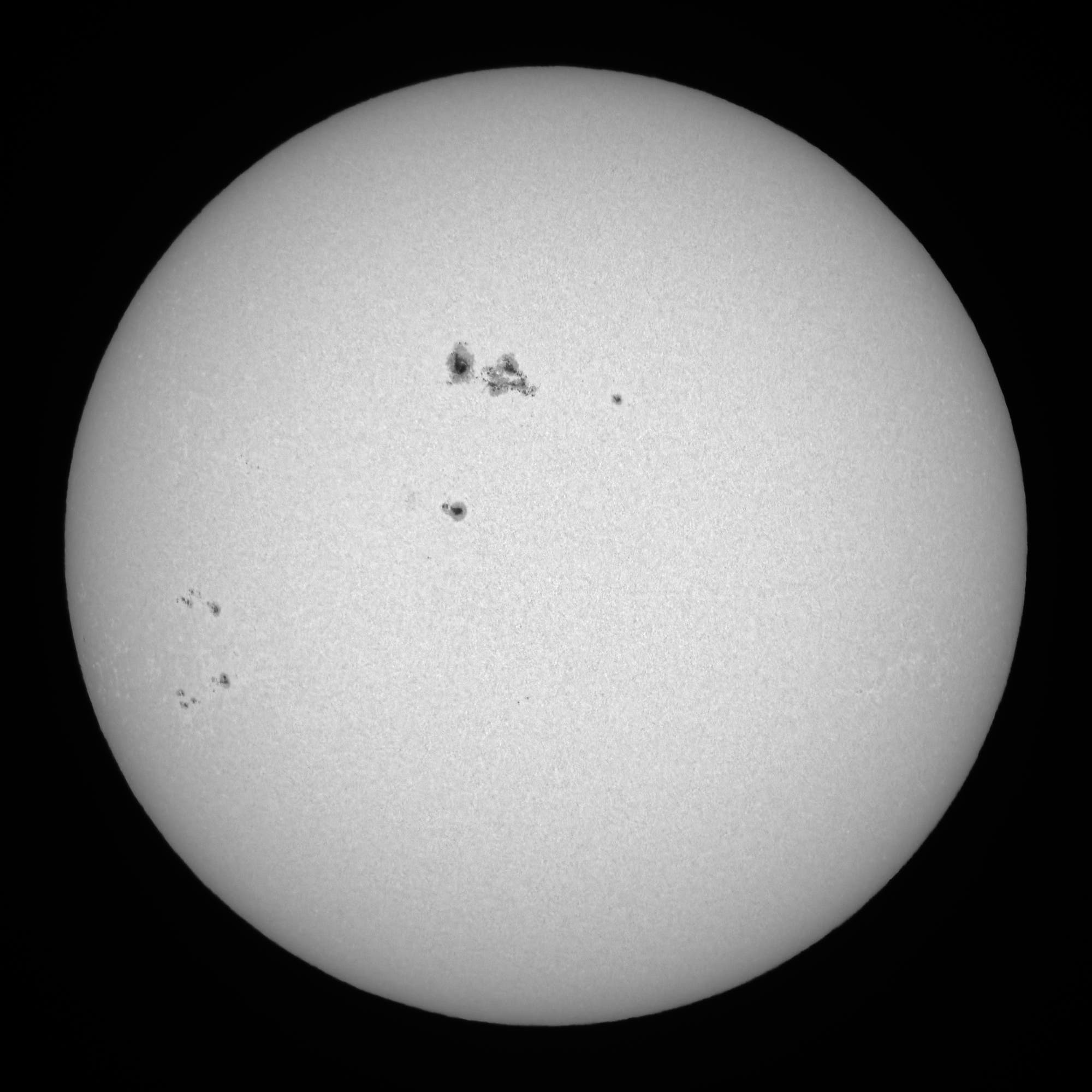 Ganze Sonne im Weißlicht am 8. November