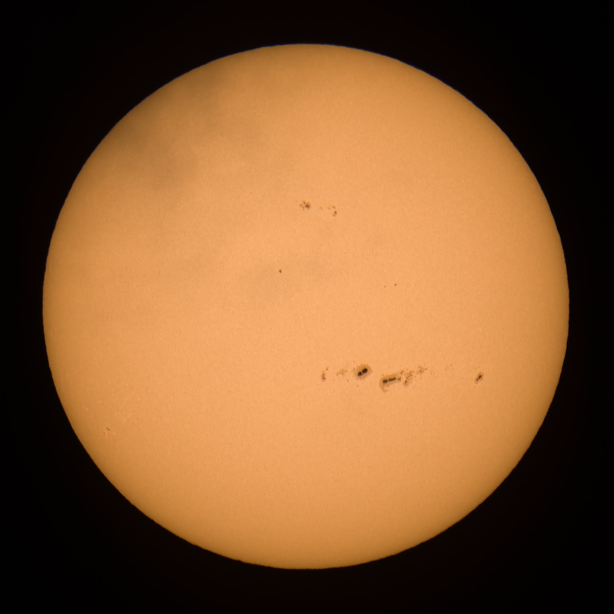 Ganze Sonne im Weißlicht am 7. Dezember