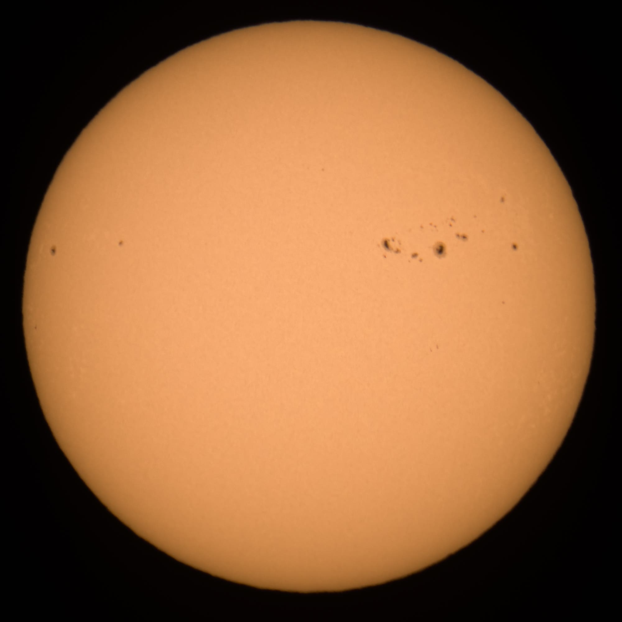 Sonne im Weißlicht am 6. Februar 2025