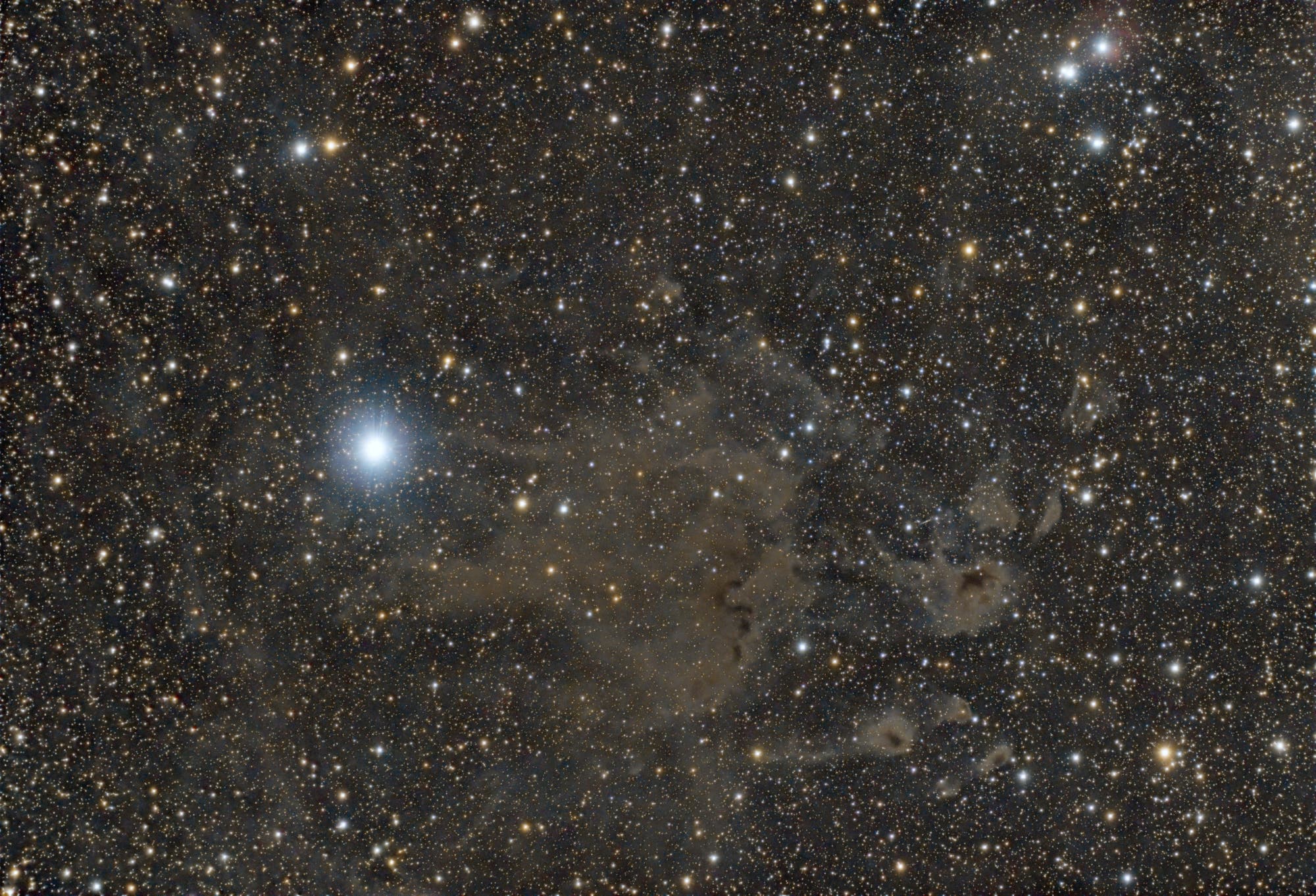 LDN 1100 - Dunkelnebel im Kepheus