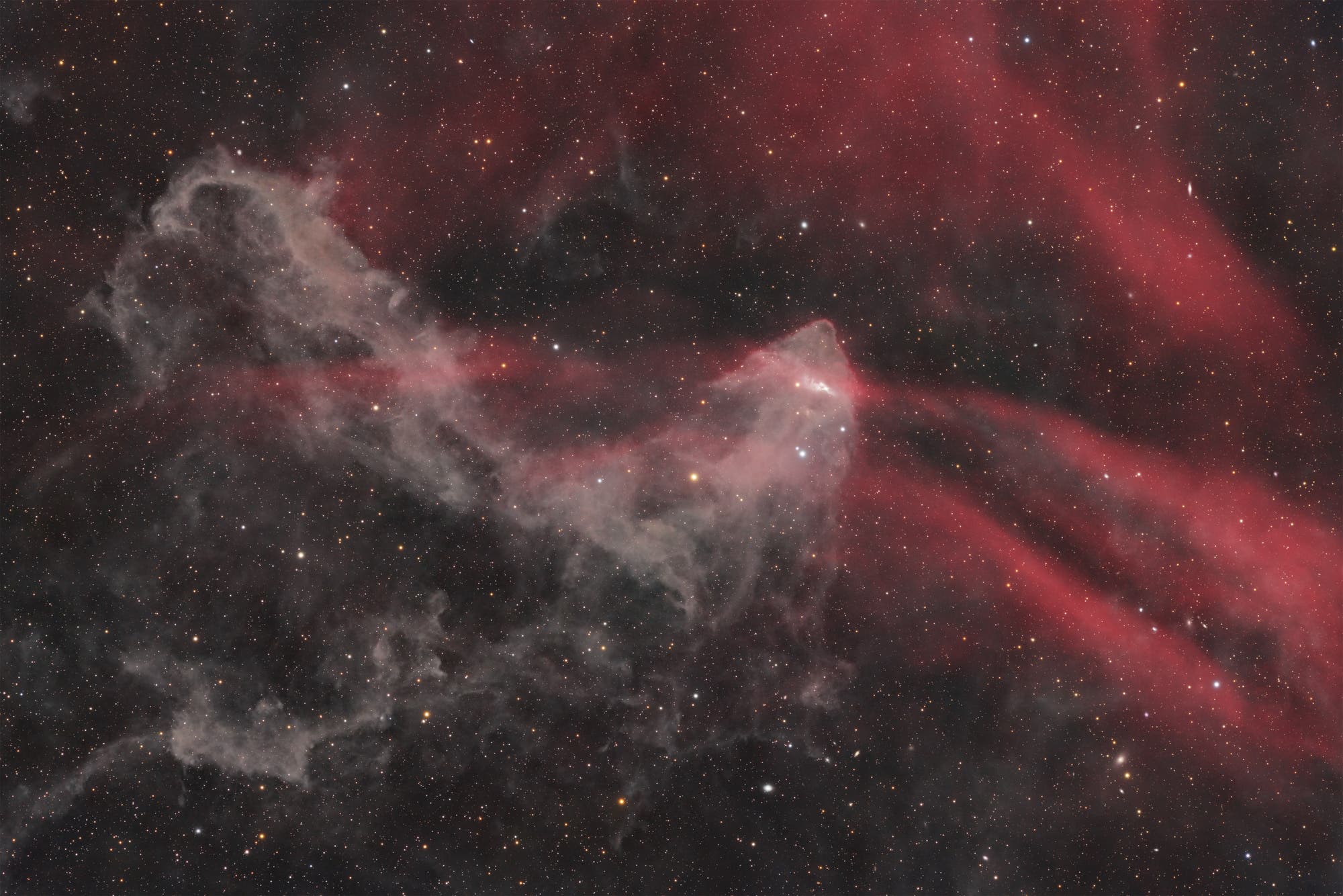 LBN 437, ein Gecko im Sternbild Eidechse